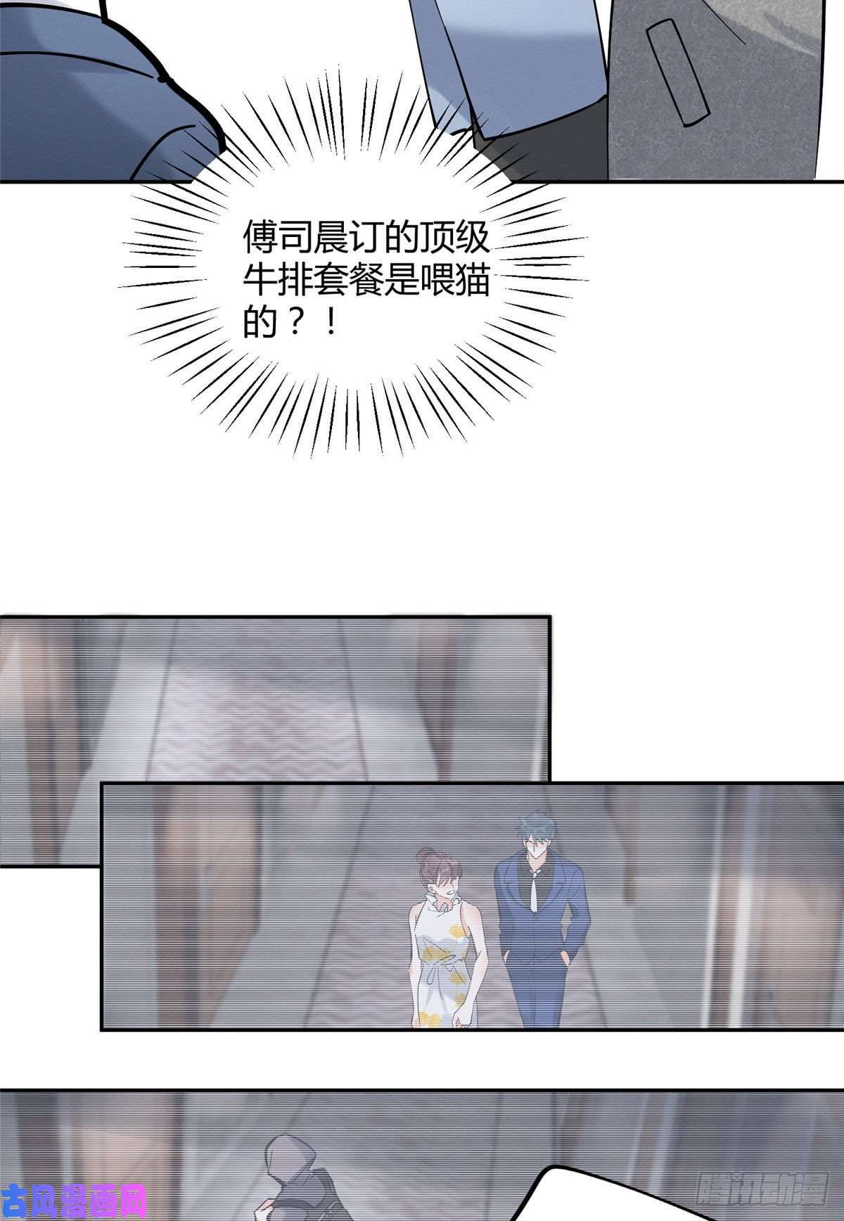 今天也要努力当只猫第26话 他爱的是我