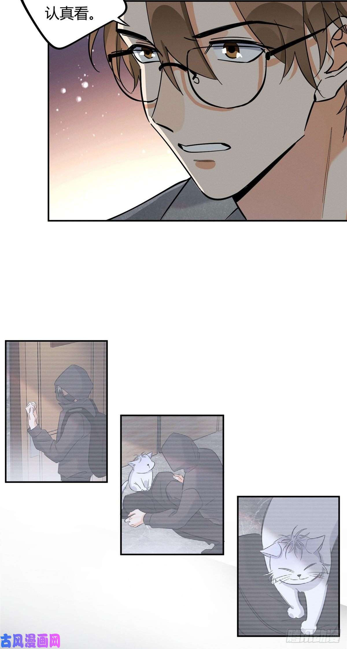 今天也要努力当只猫第26话 他爱的是我