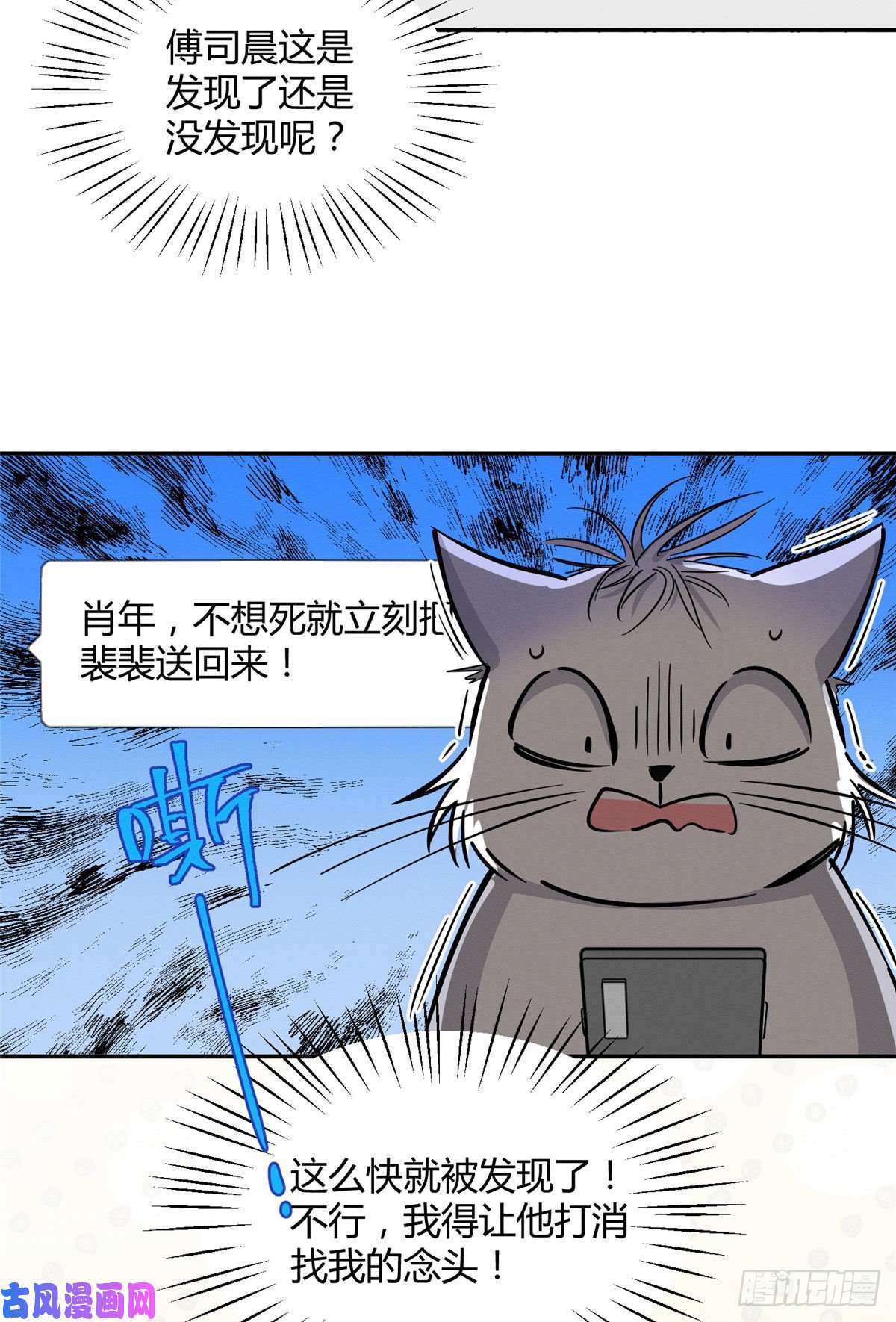 今天也要努力当只猫第26话 他爱的是我