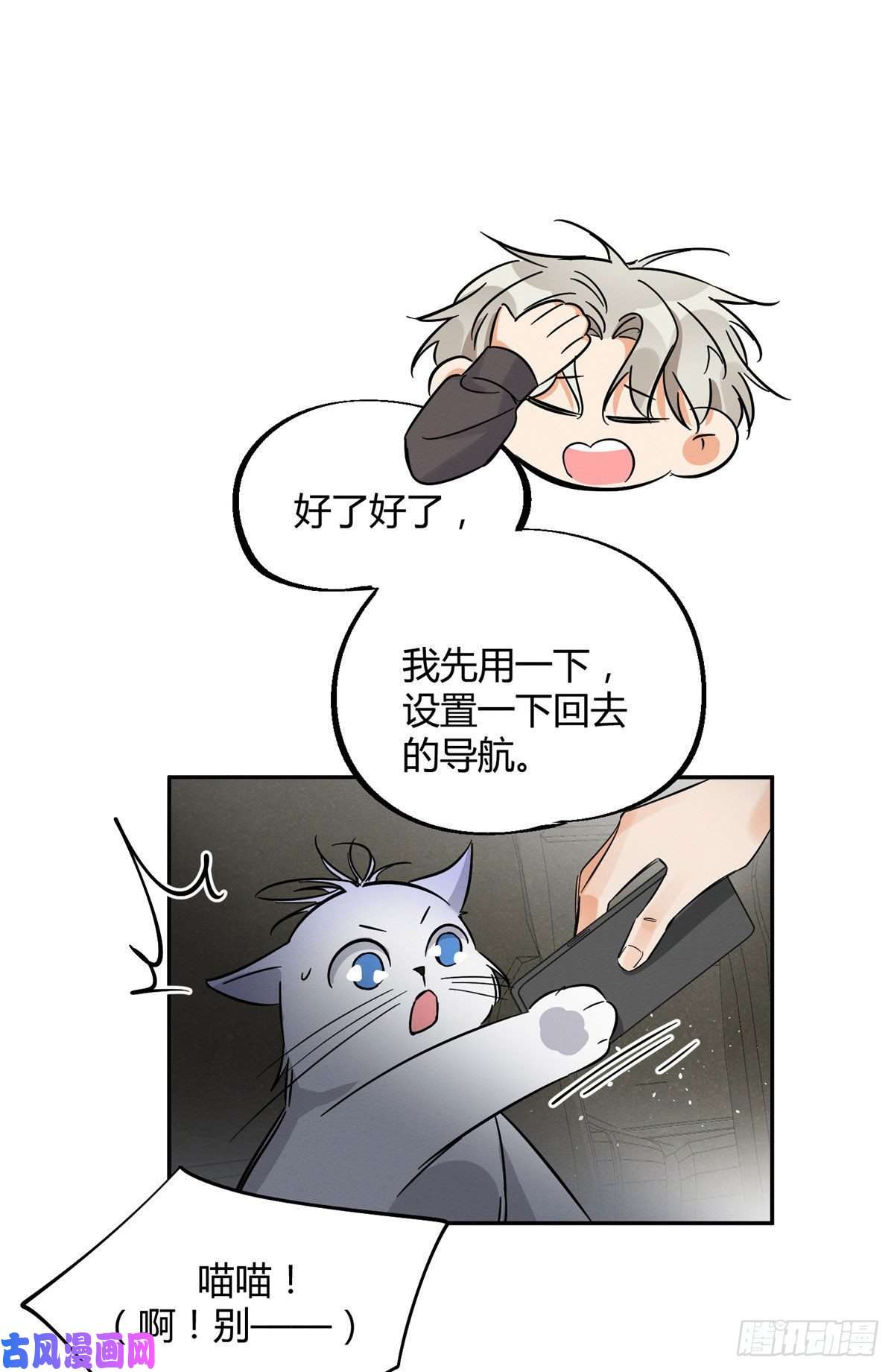 今天也要努力当只猫第26话 他爱的是我