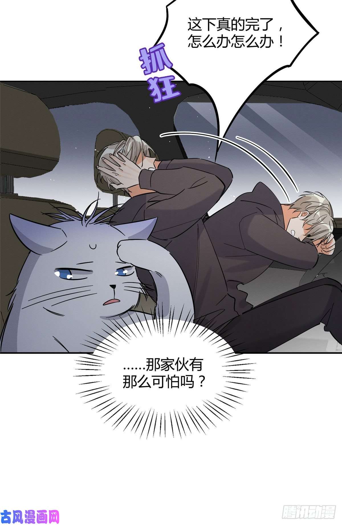 今天也要努力当只猫第26话 他爱的是我