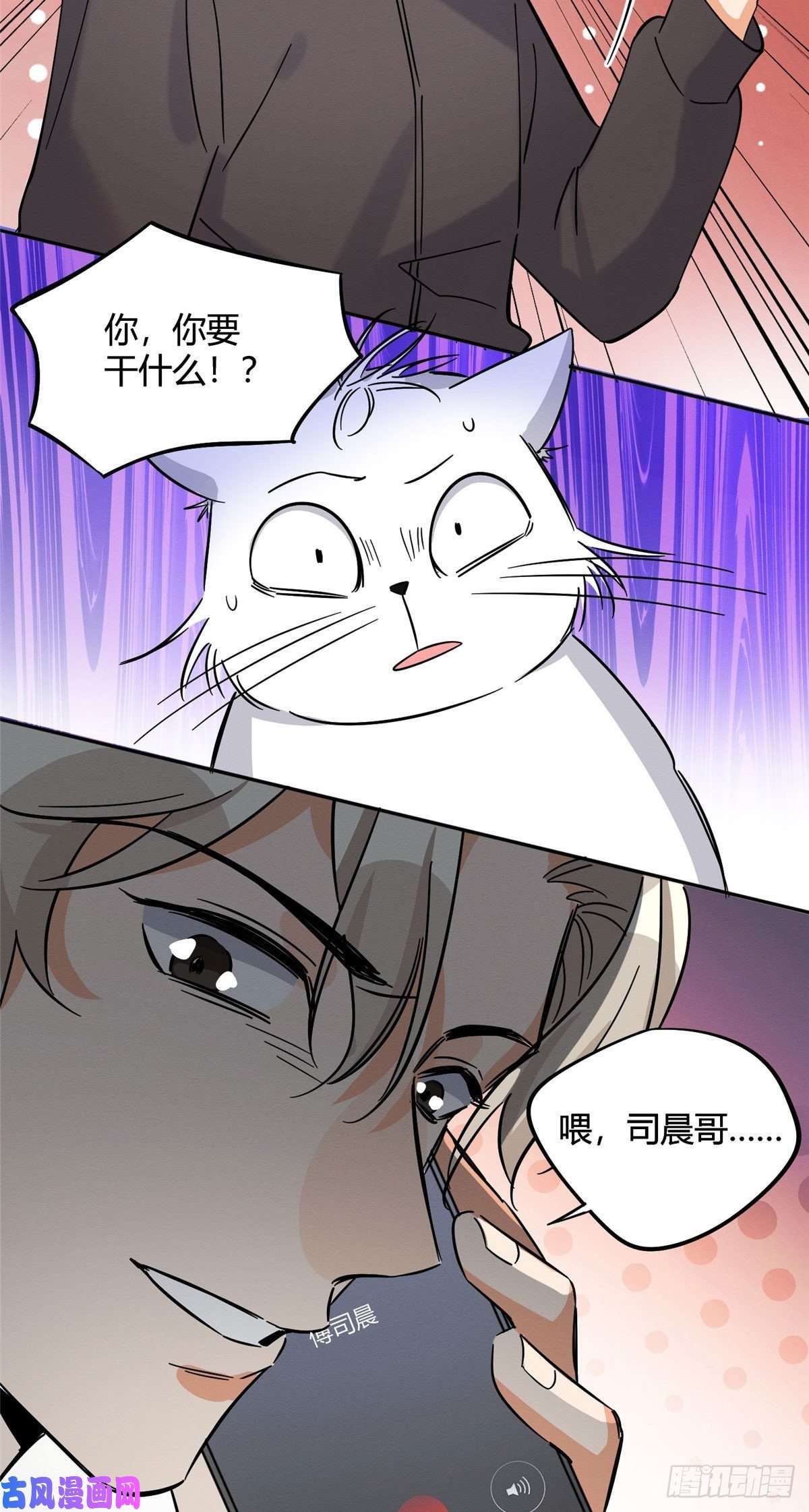 今天也要努力当只猫第26话 他爱的是我