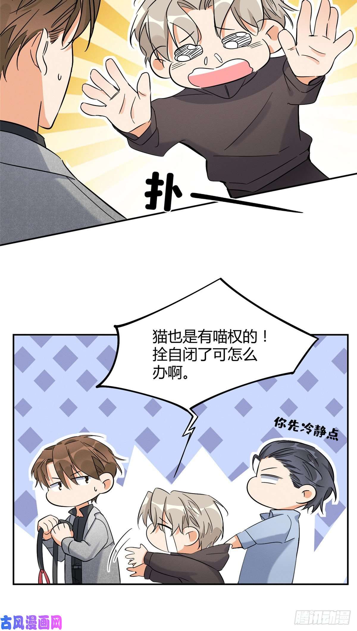 今天也要努力当只猫第27话 仗着我喜欢你