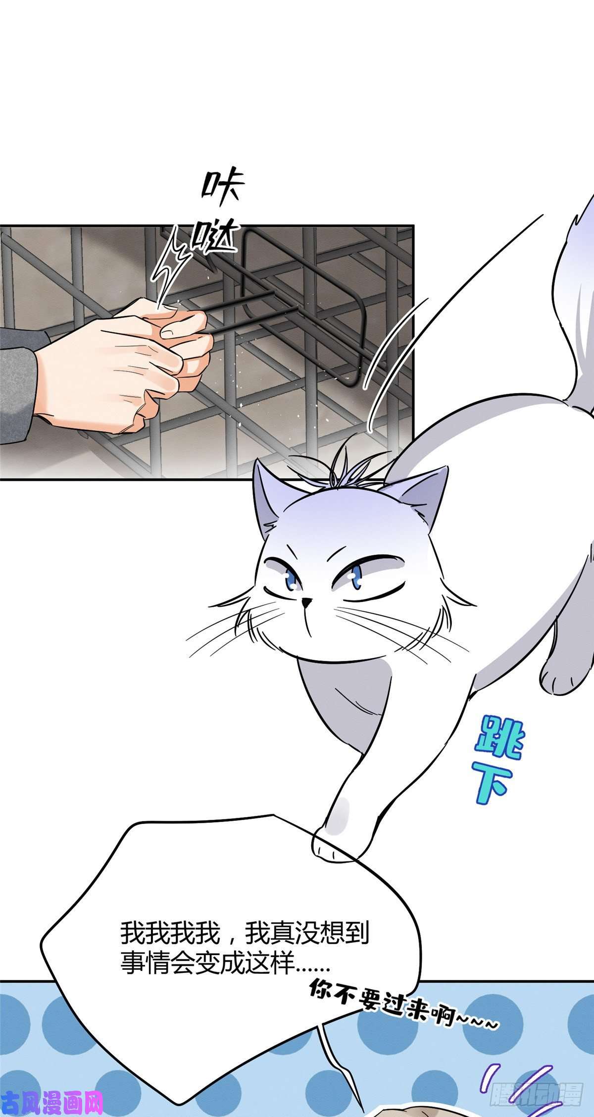 今天也要努力当只猫第27话 仗着我喜欢你