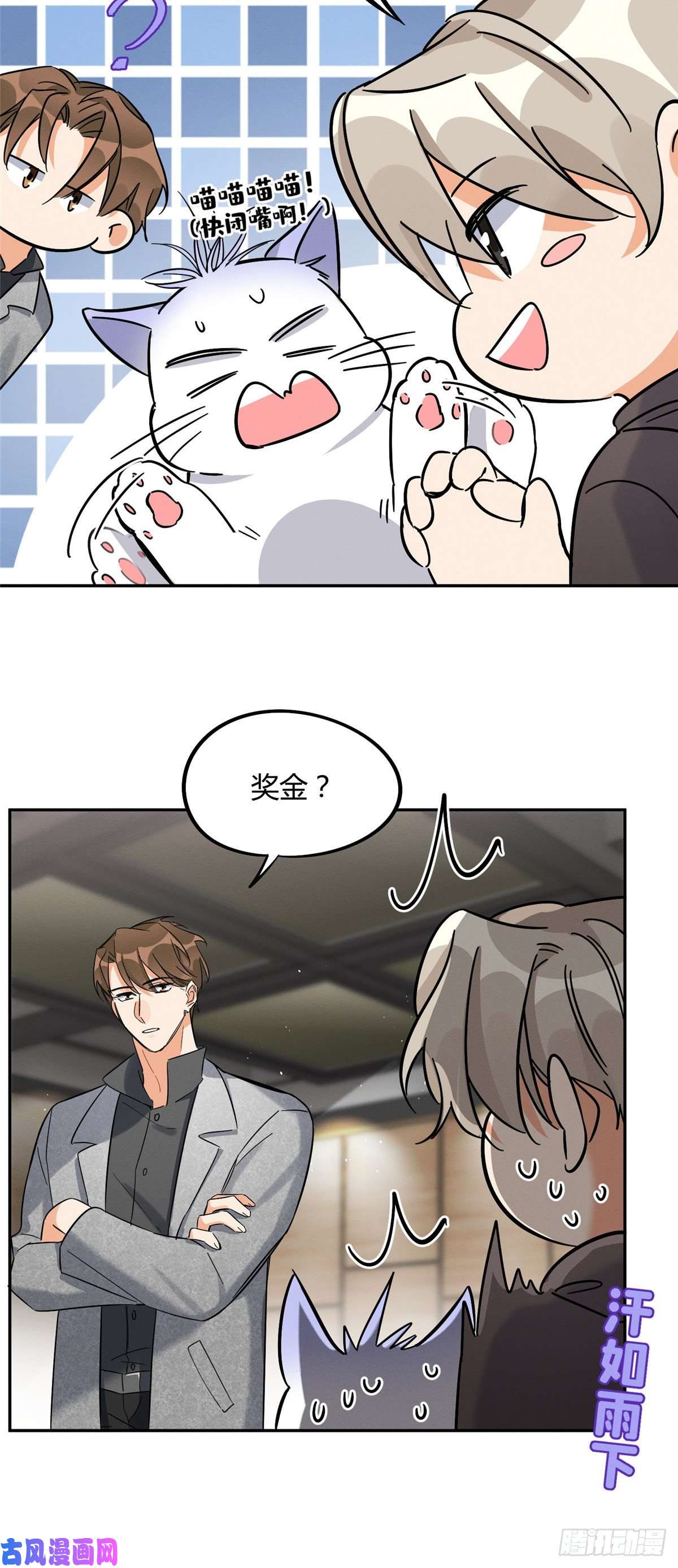 今天也要努力当只猫第27话 仗着我喜欢你