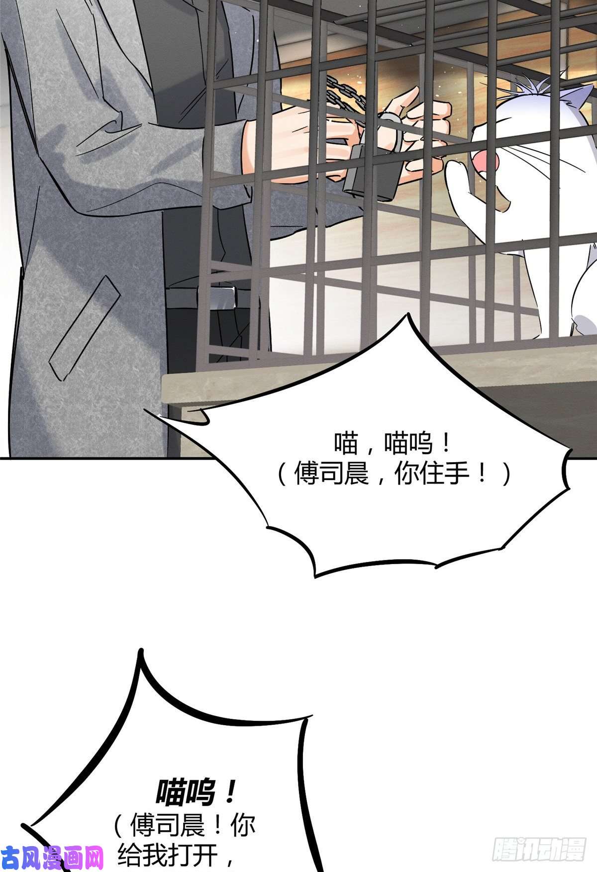 今天也要努力当只猫第27话 仗着我喜欢你