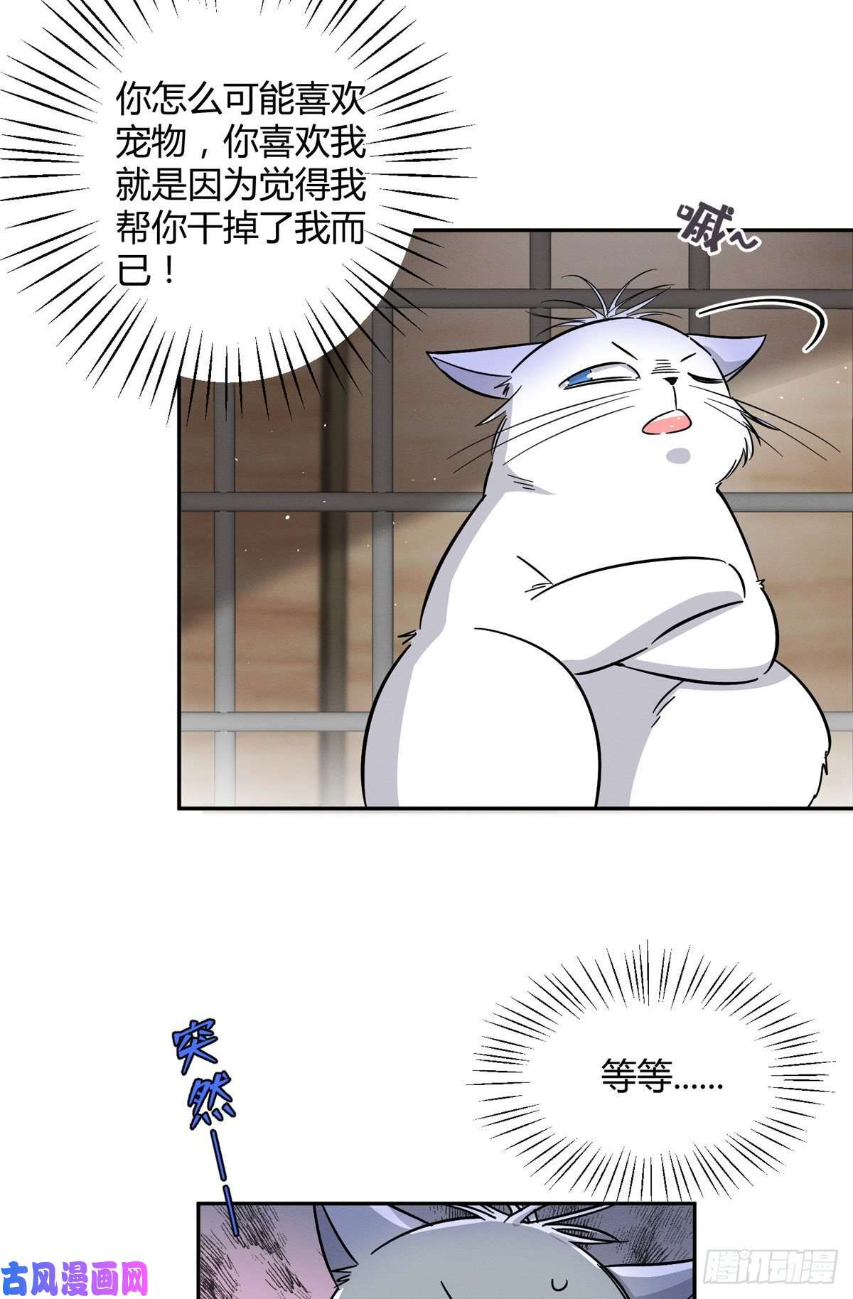 今天也要努力当只猫第27话 仗着我喜欢你