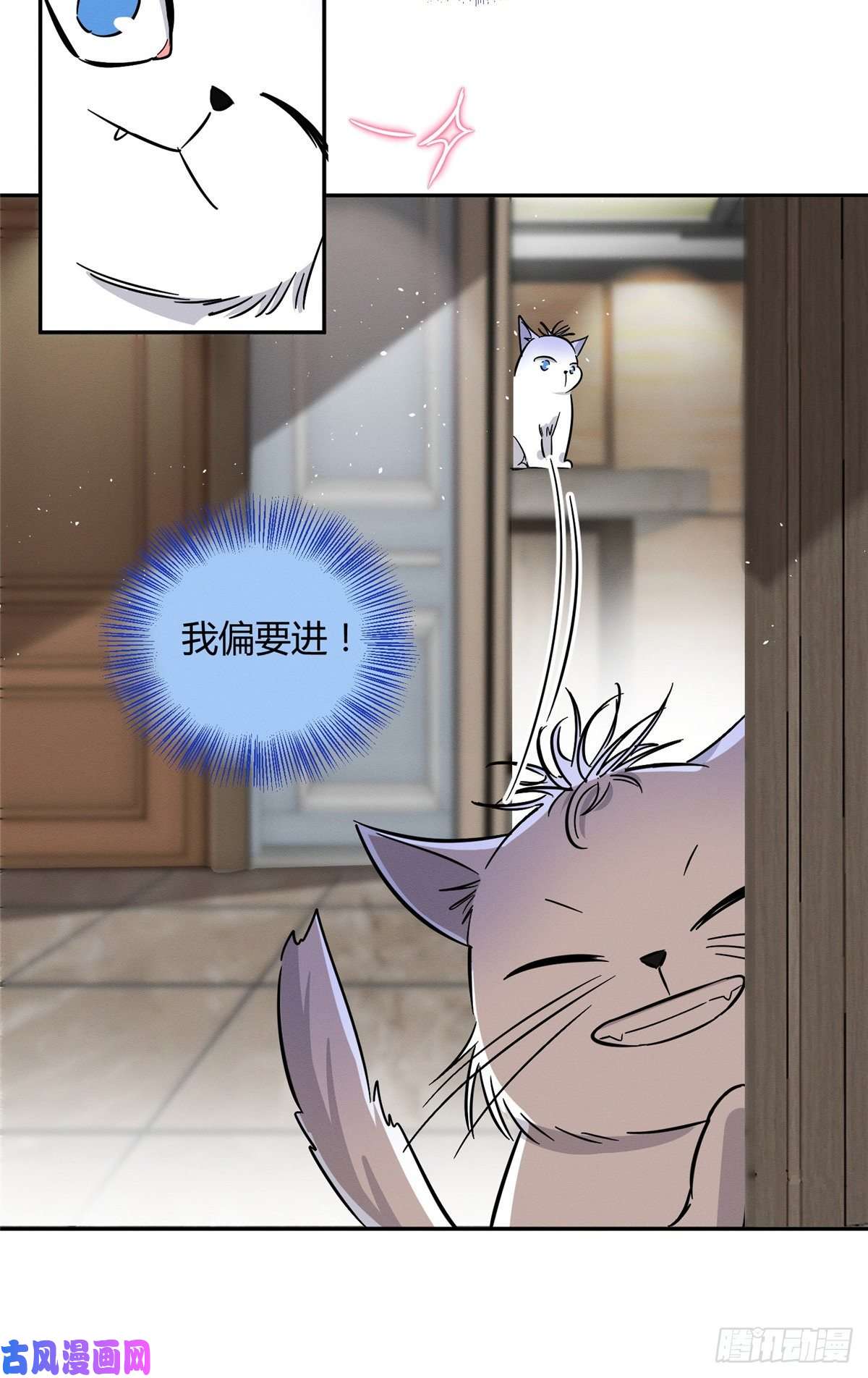 今天也要努力当只猫第28话 画你