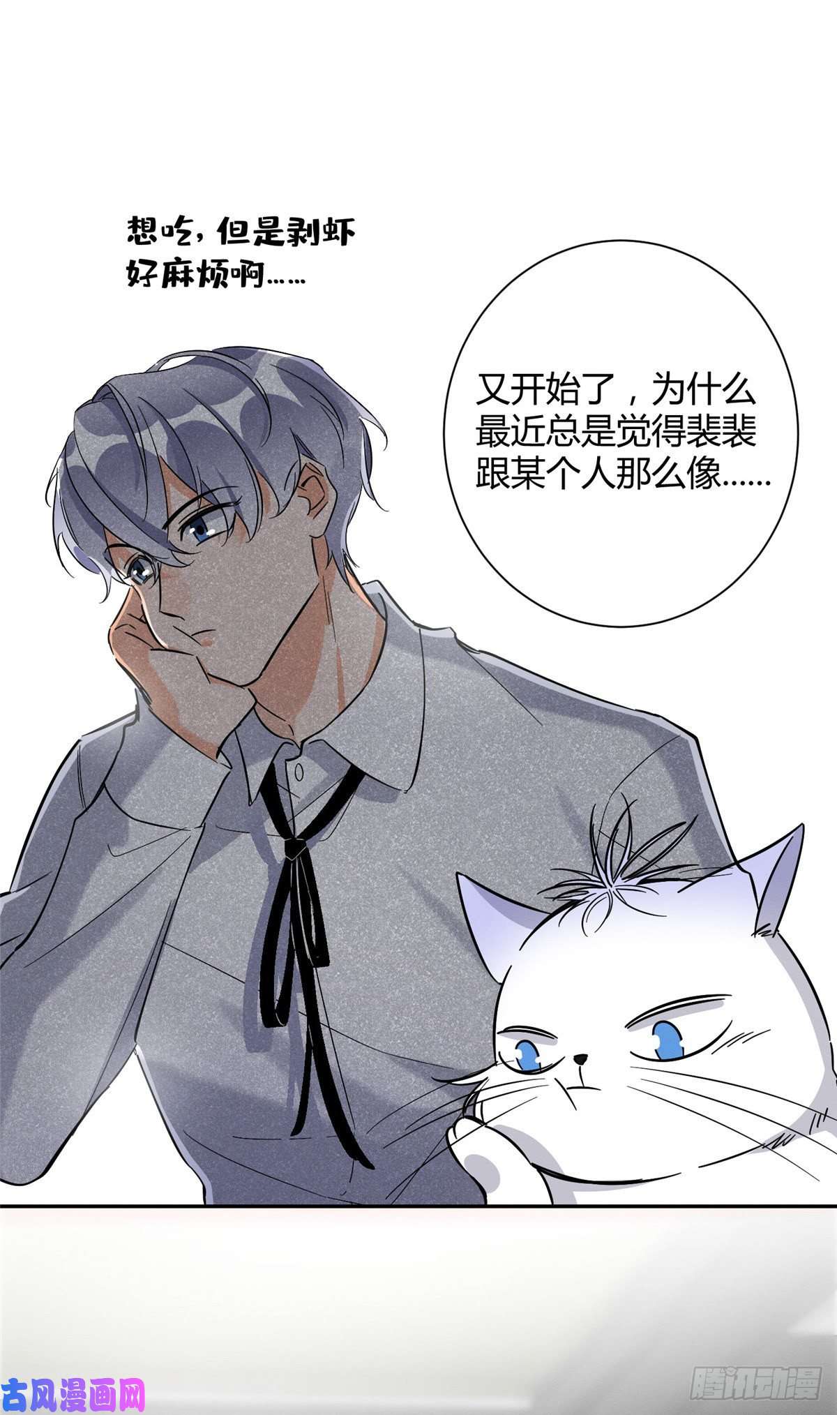 今天也要努力当只猫第28话 画你