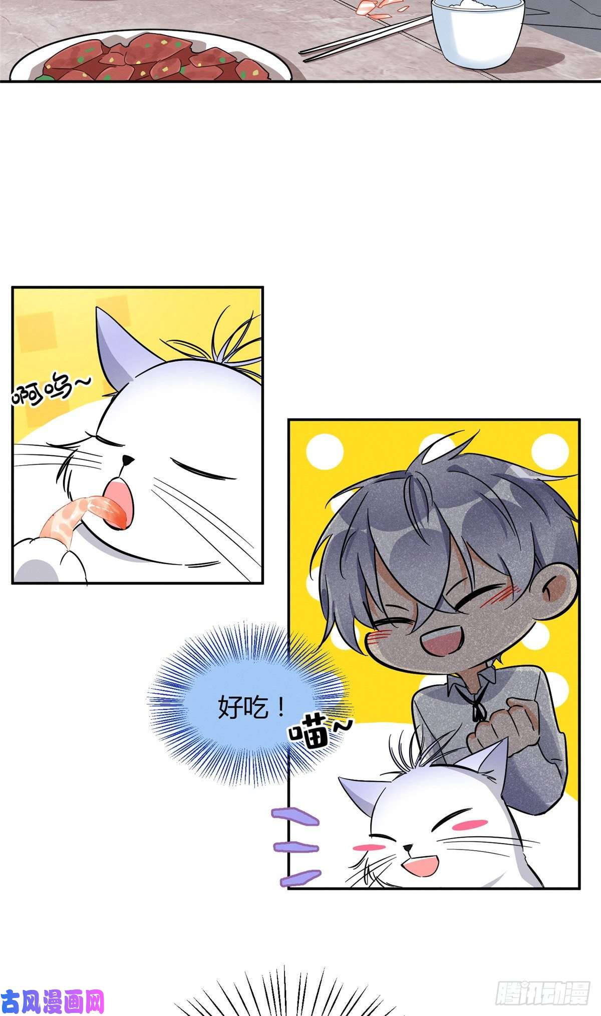 今天也要努力当只猫第28话 画你