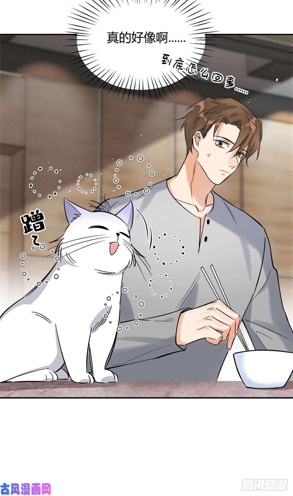 今天也要努力当只猫第28话 画你