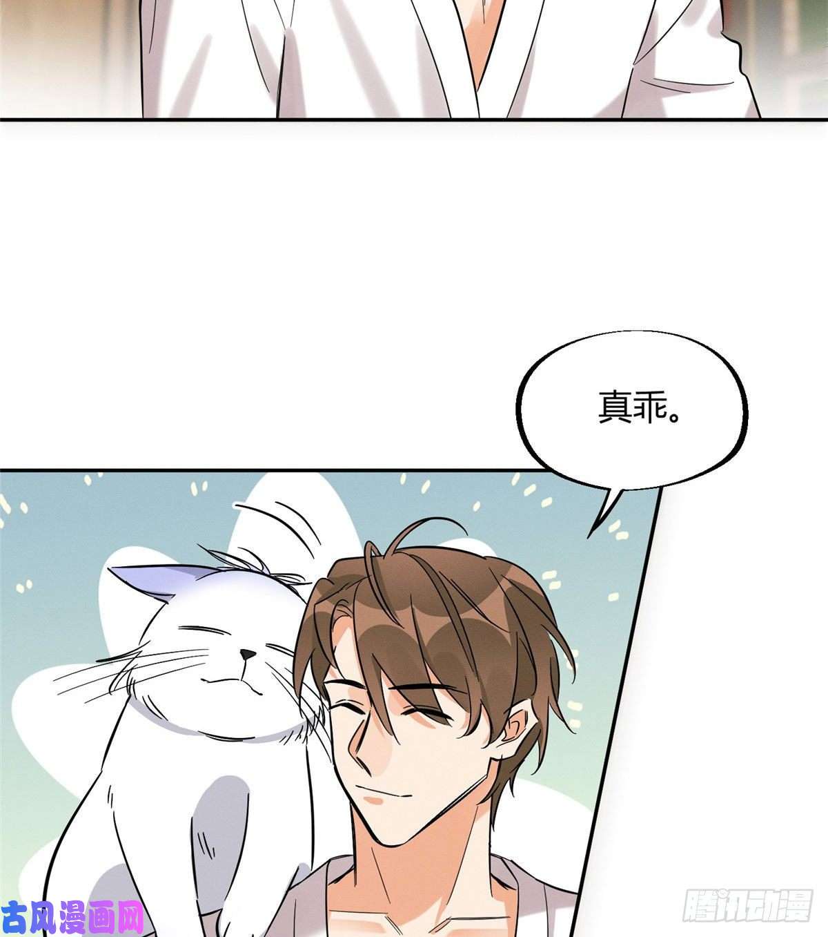 今天也要努力当只猫第29话 和你一起很安心