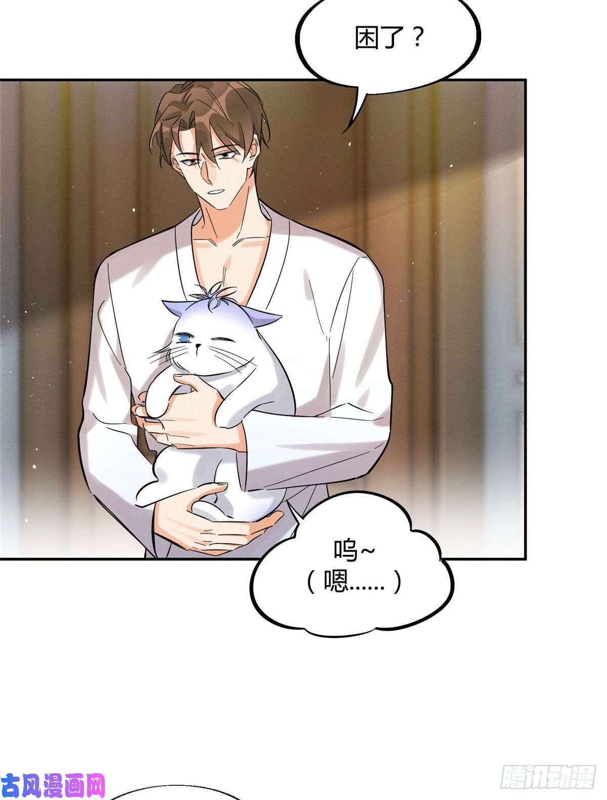 今天也要努力当只猫第29话 和你一起很安心