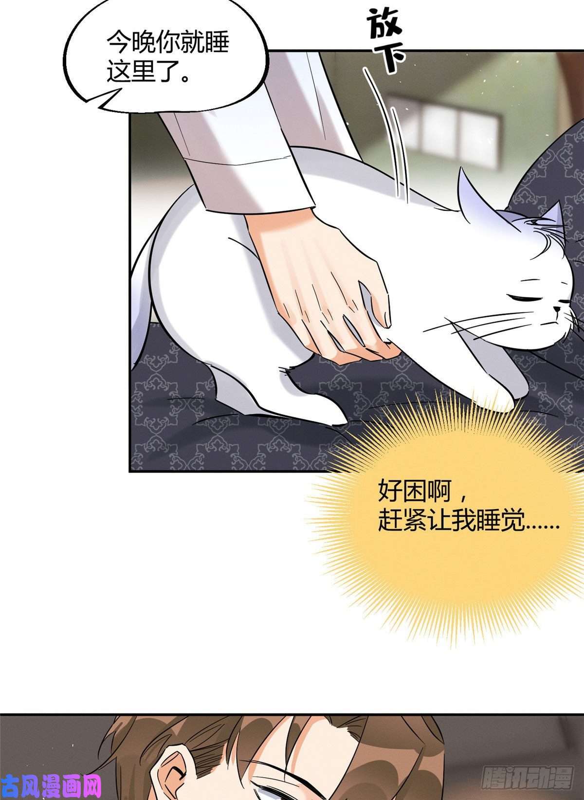 今天也要努力当只猫第29话 和你一起很安心