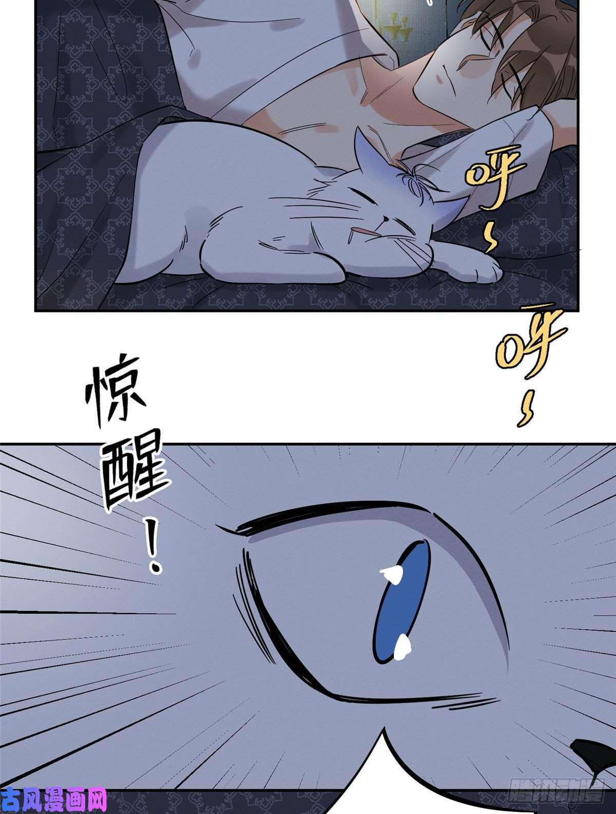 今天也要努力当只猫第29话 和你一起很安心