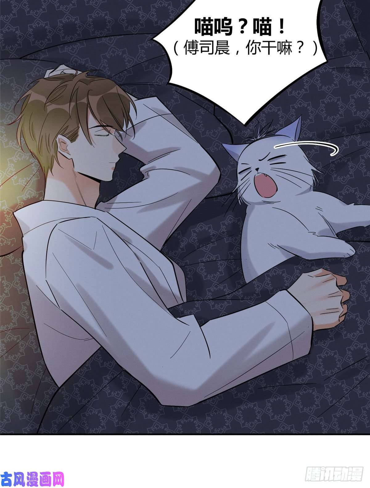 今天也要努力当只猫第29话 和你一起很安心