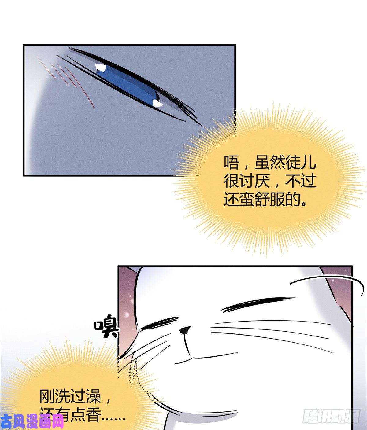 今天也要努力当只猫第29话 和你一起很安心