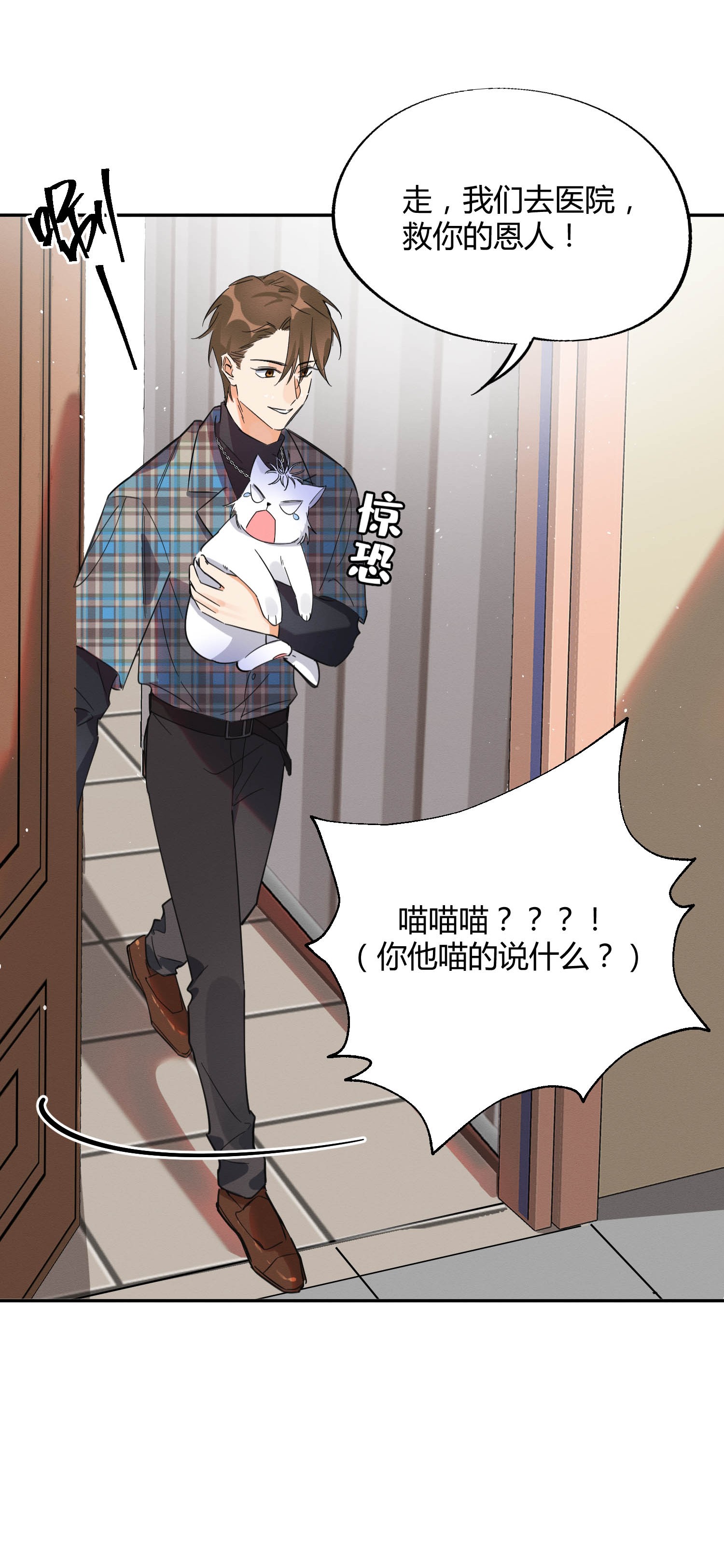 今天也要努力当只猫22 大变态——！