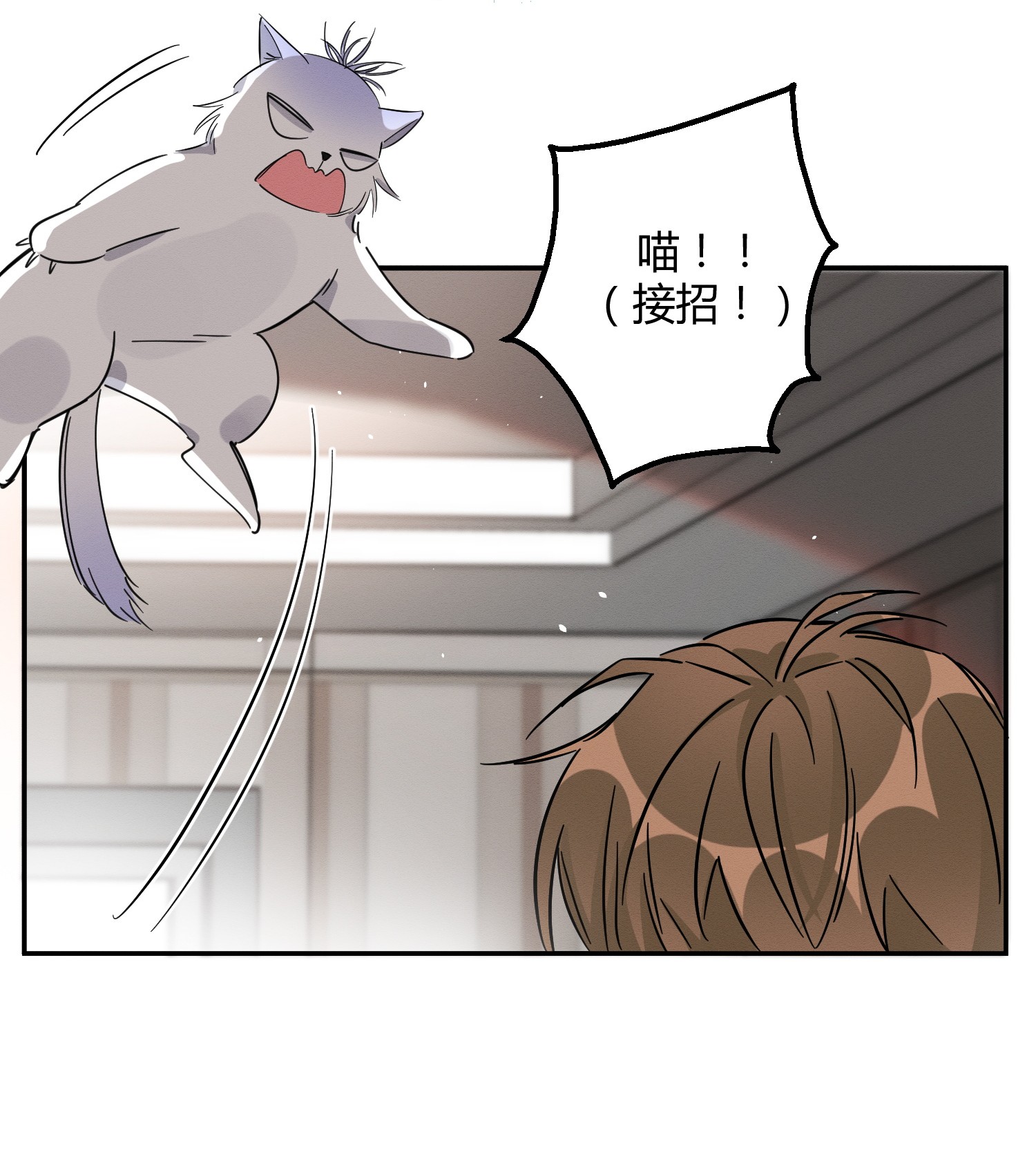 今天也要努力当只猫22 大变态——！