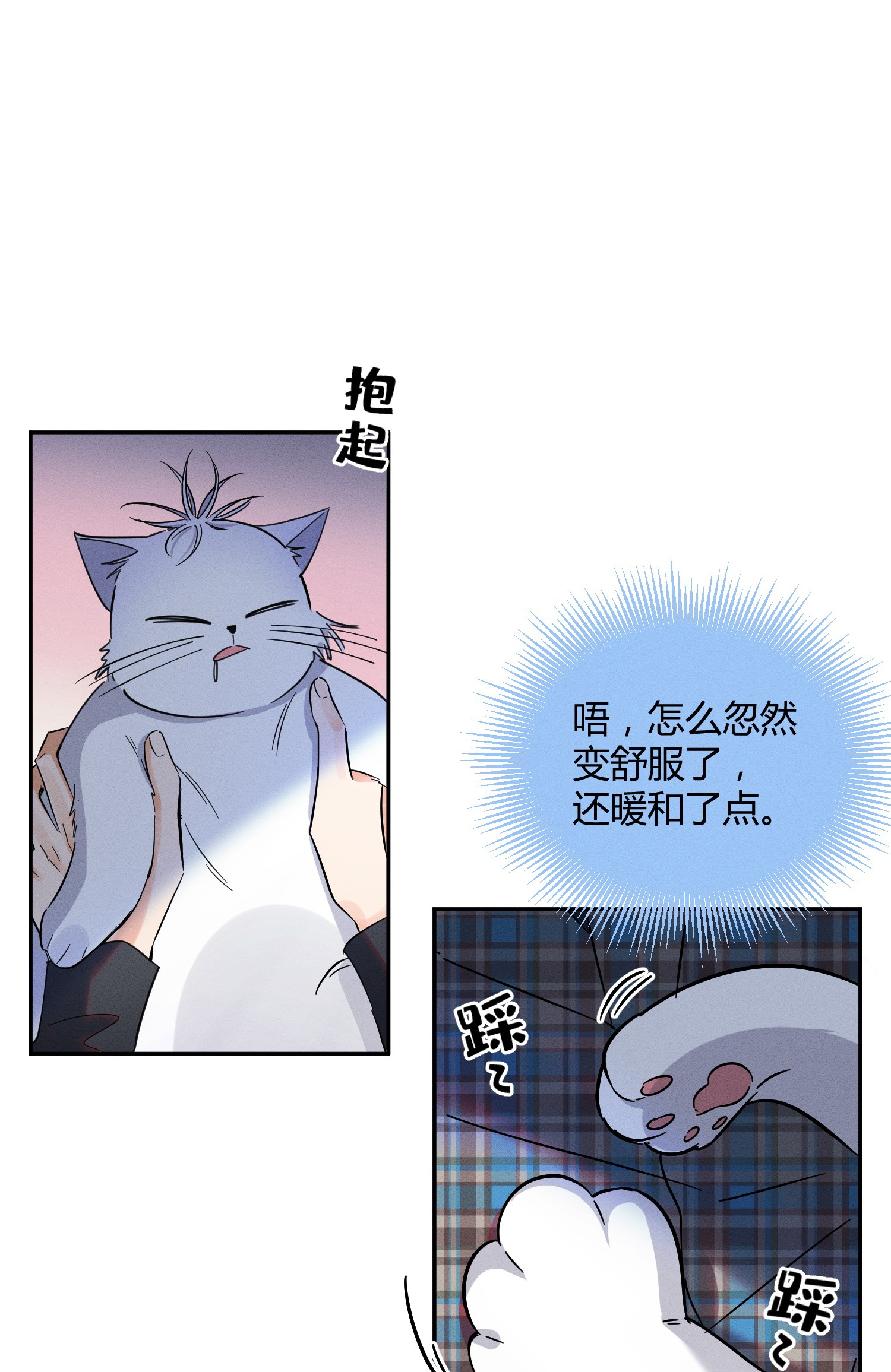 今天也要努力当只猫23 机会来了！