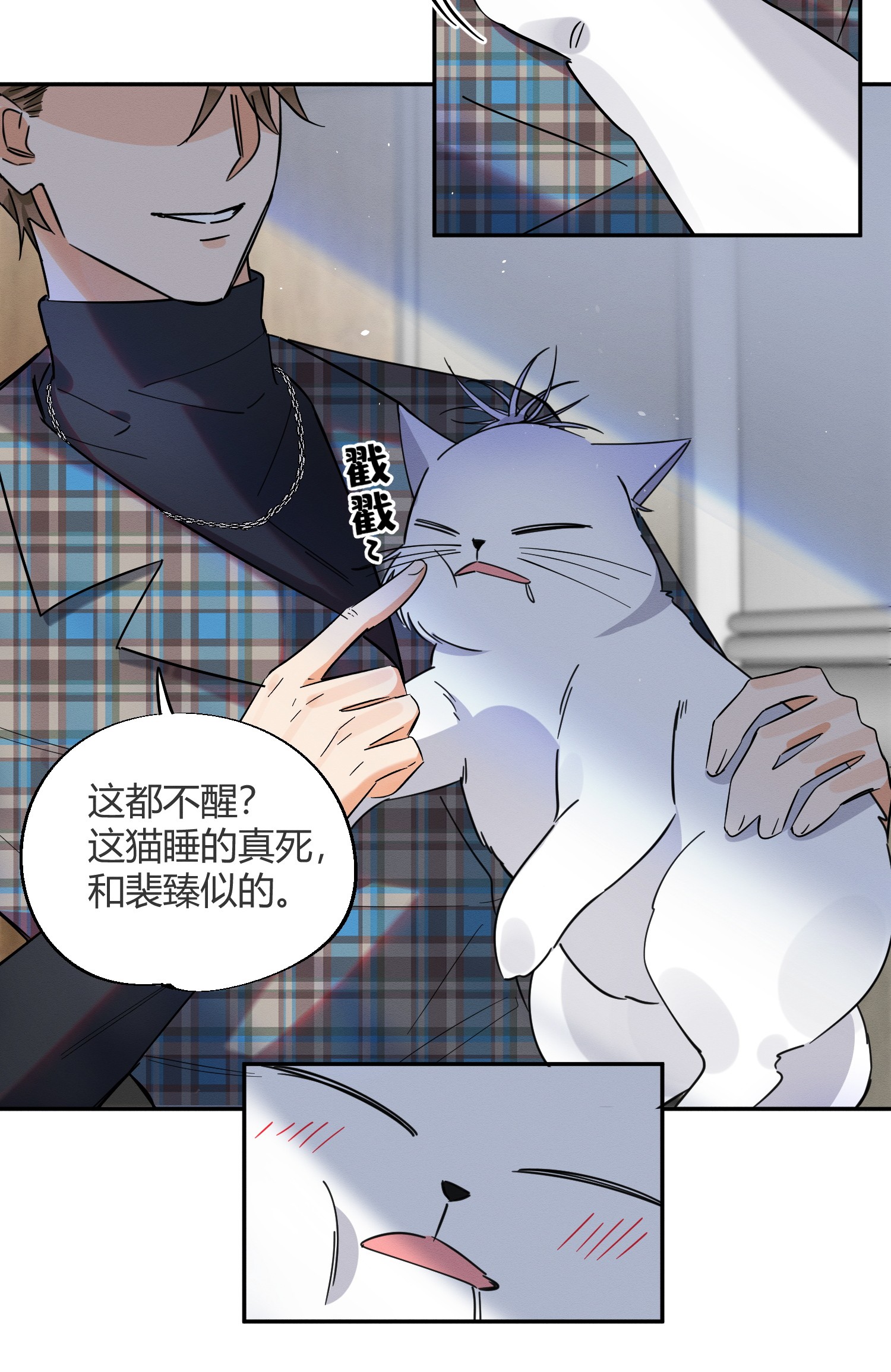 今天也要努力当只猫23 机会来了！