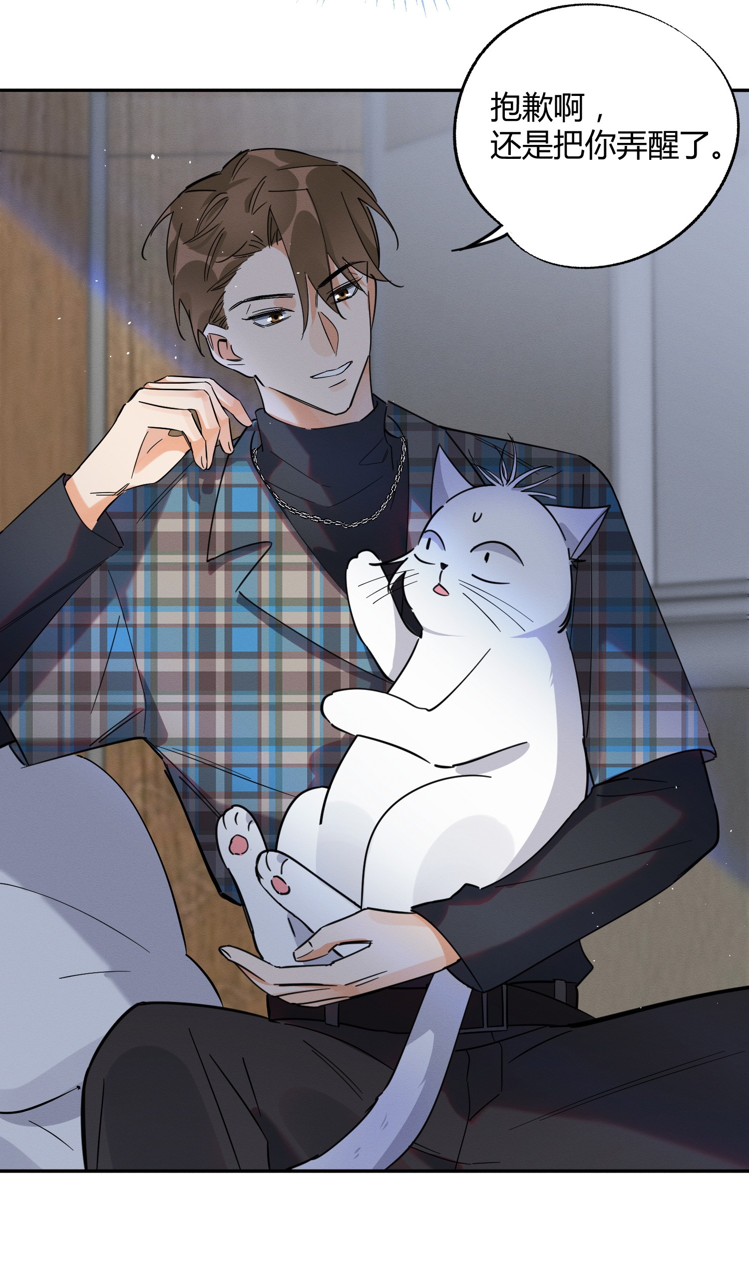 今天也要努力当只猫23 机会来了！