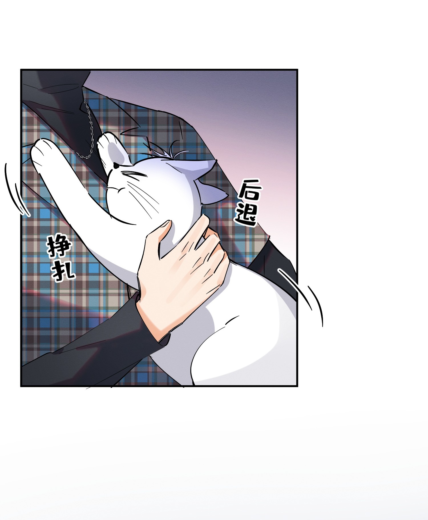 今天也要努力当只猫23 机会来了！