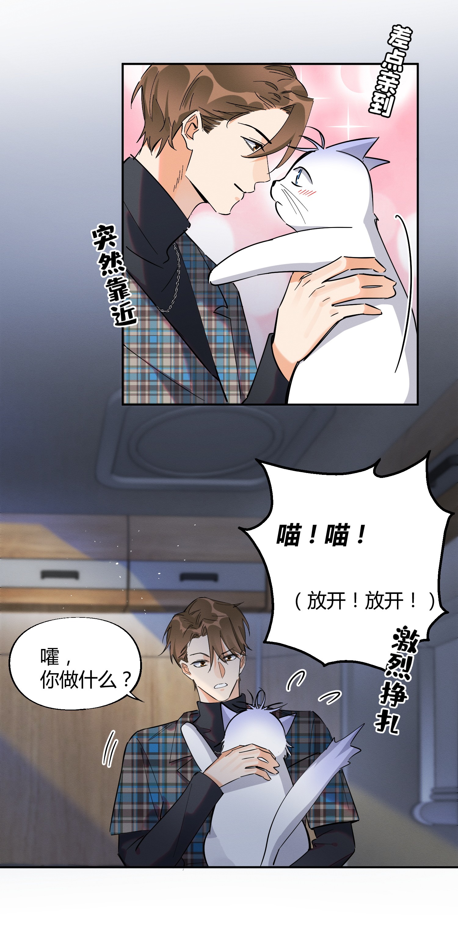 今天也要努力当只猫23 机会来了！