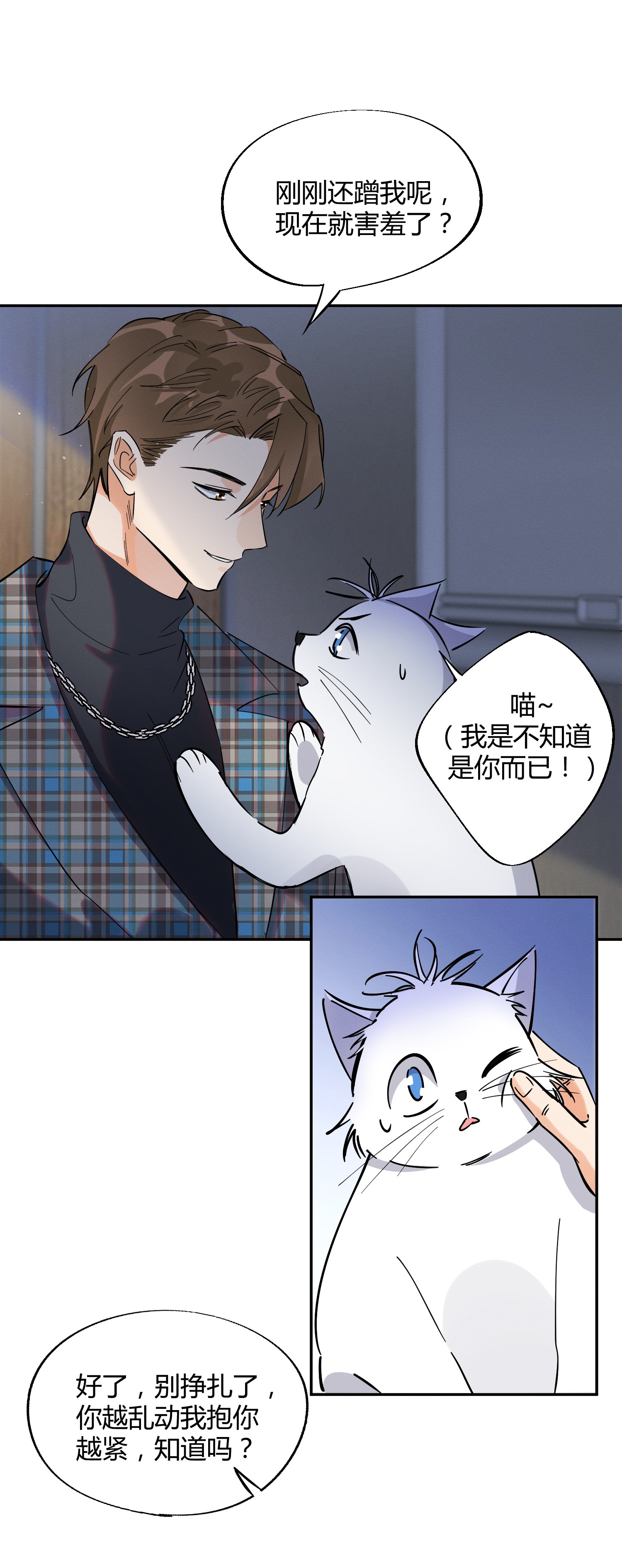 今天也要努力当只猫23 机会来了！