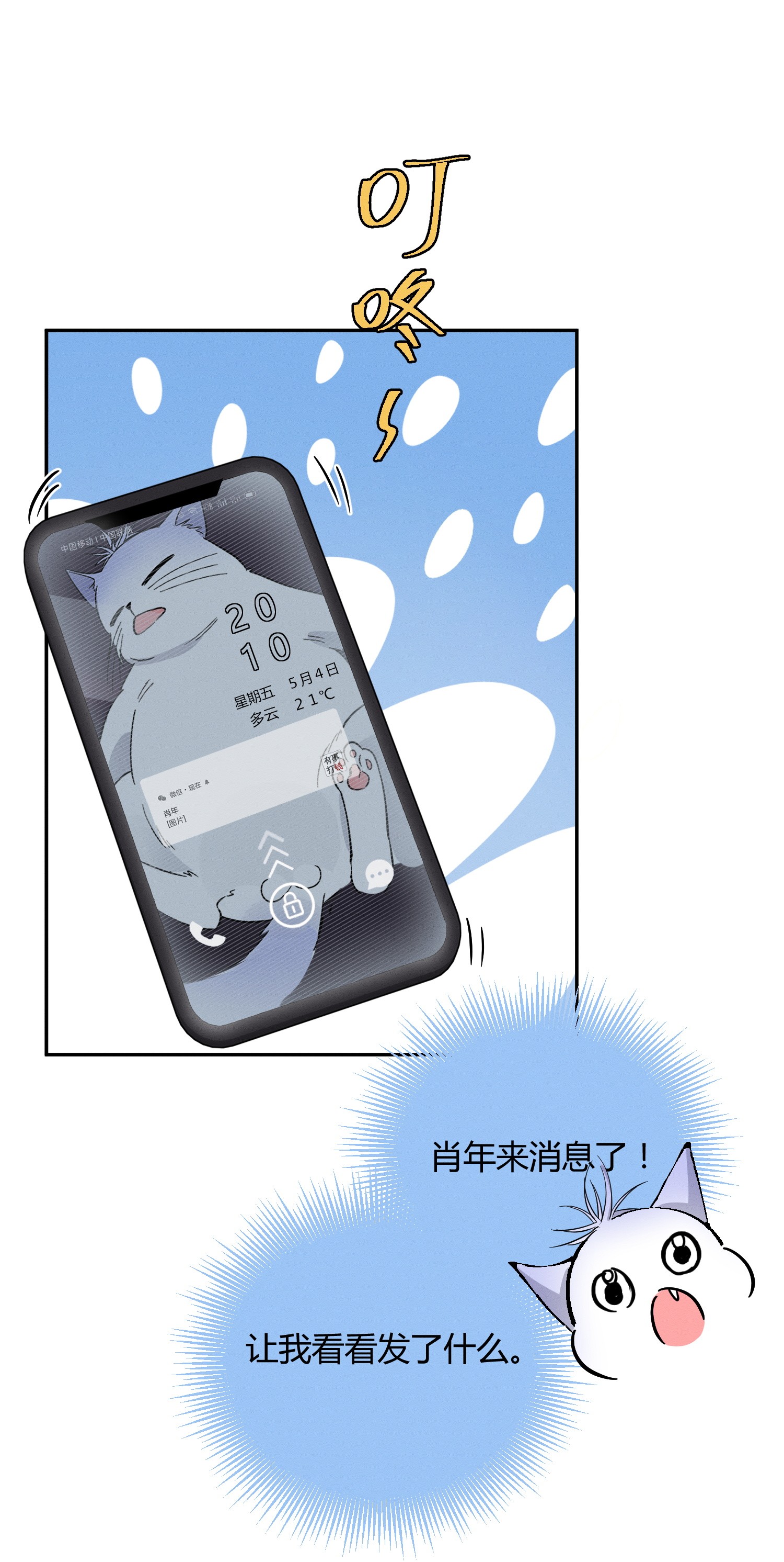 今天也要努力当只猫23 机会来了！