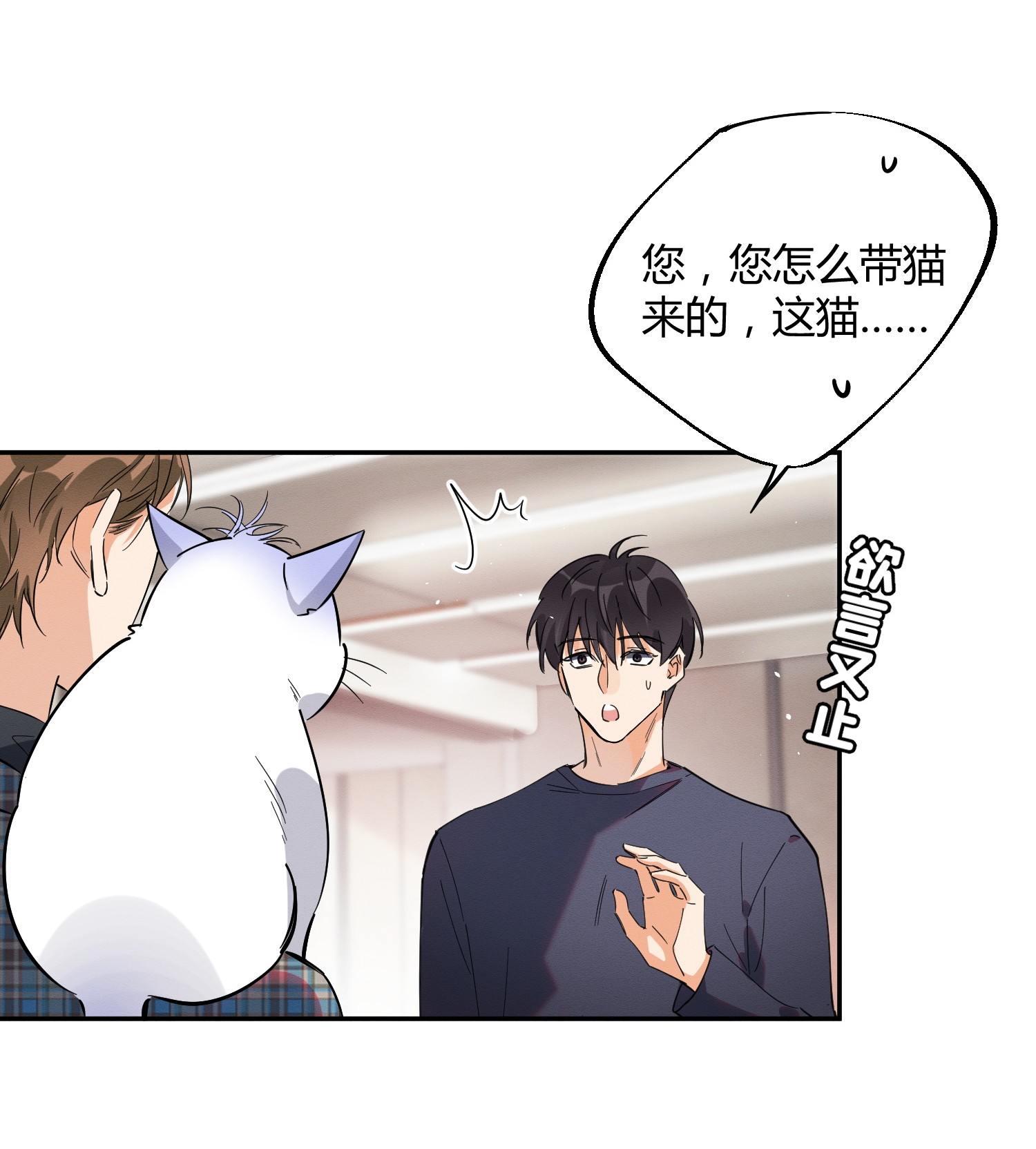 今天也要努力当只猫23 机会来了！