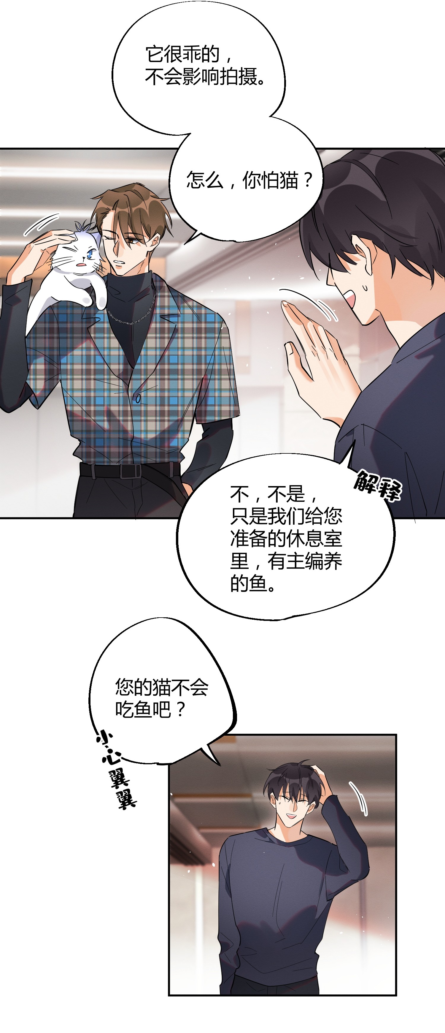 今天也要努力当只猫23 机会来了！