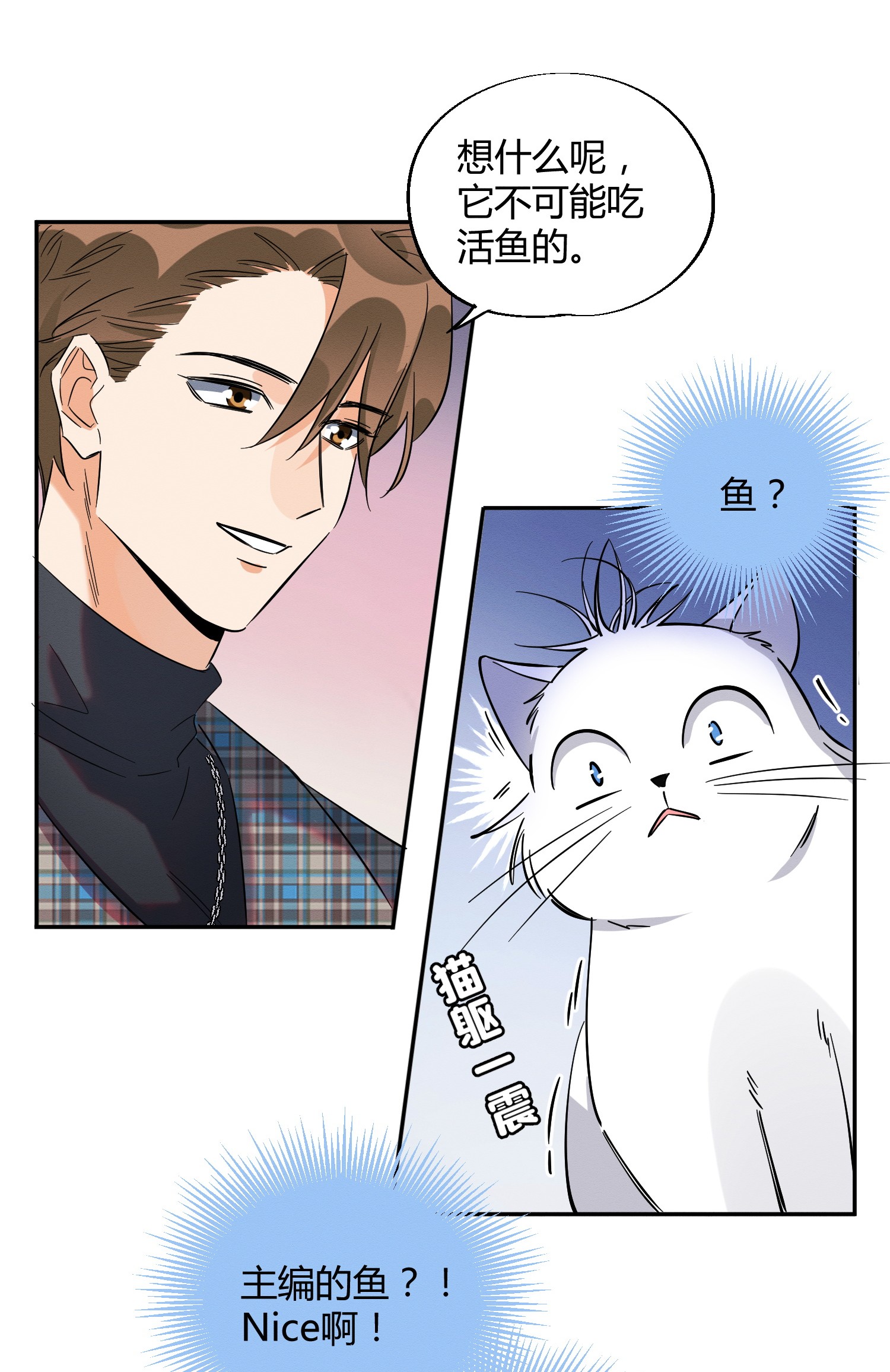 今天也要努力当只猫23 机会来了！