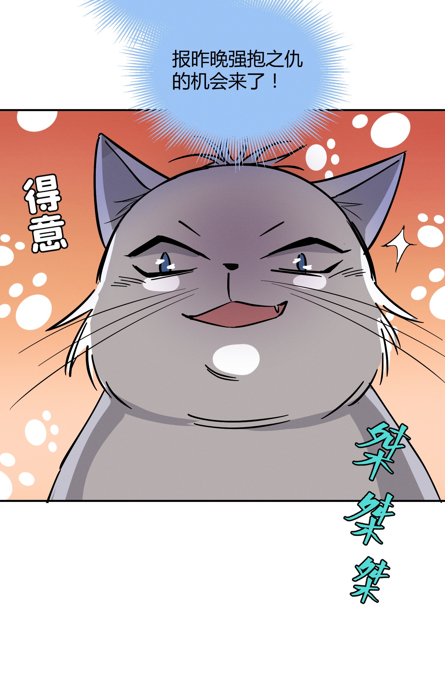 今天也要努力当只猫23 机会来了！