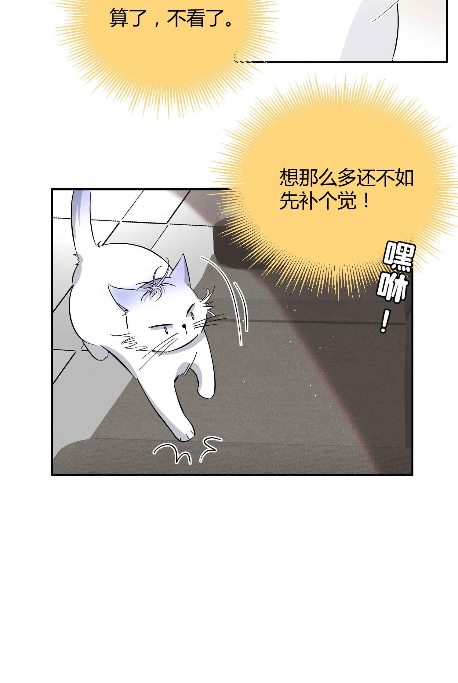 今天也要努力当只猫24 别冤枉他