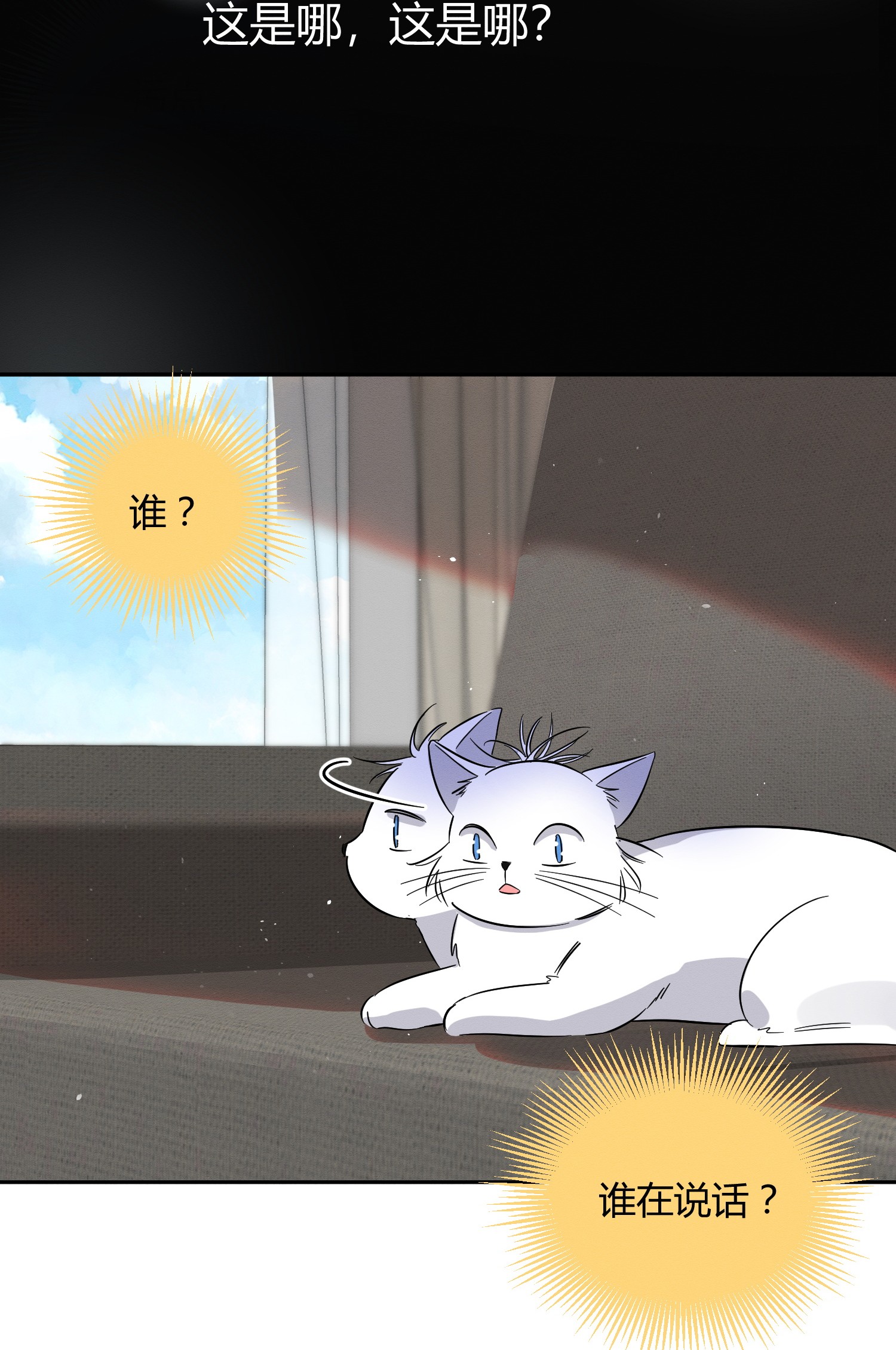 今天也要努力当只猫24 别冤枉他