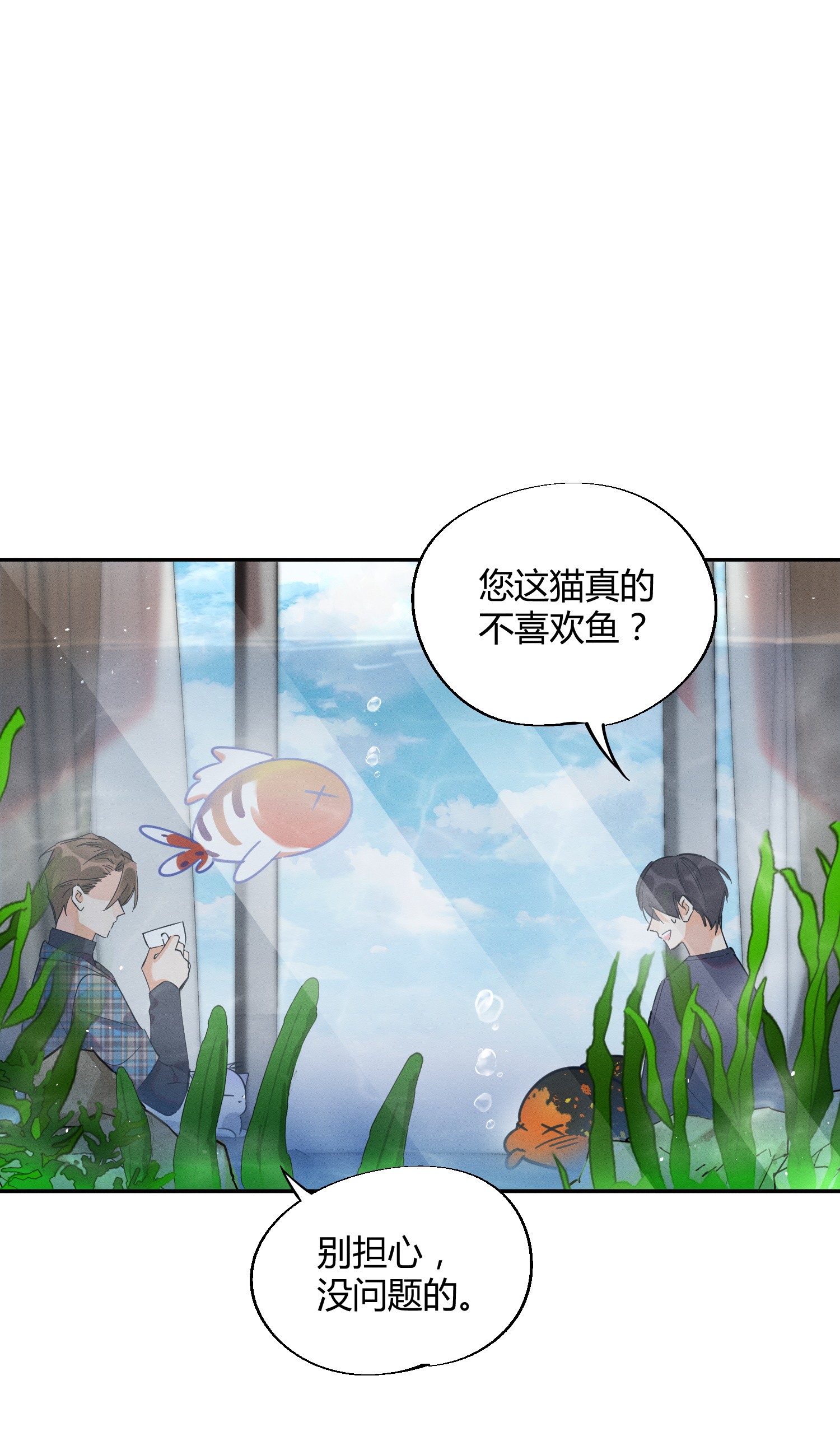 今天也要努力当只猫24 别冤枉他