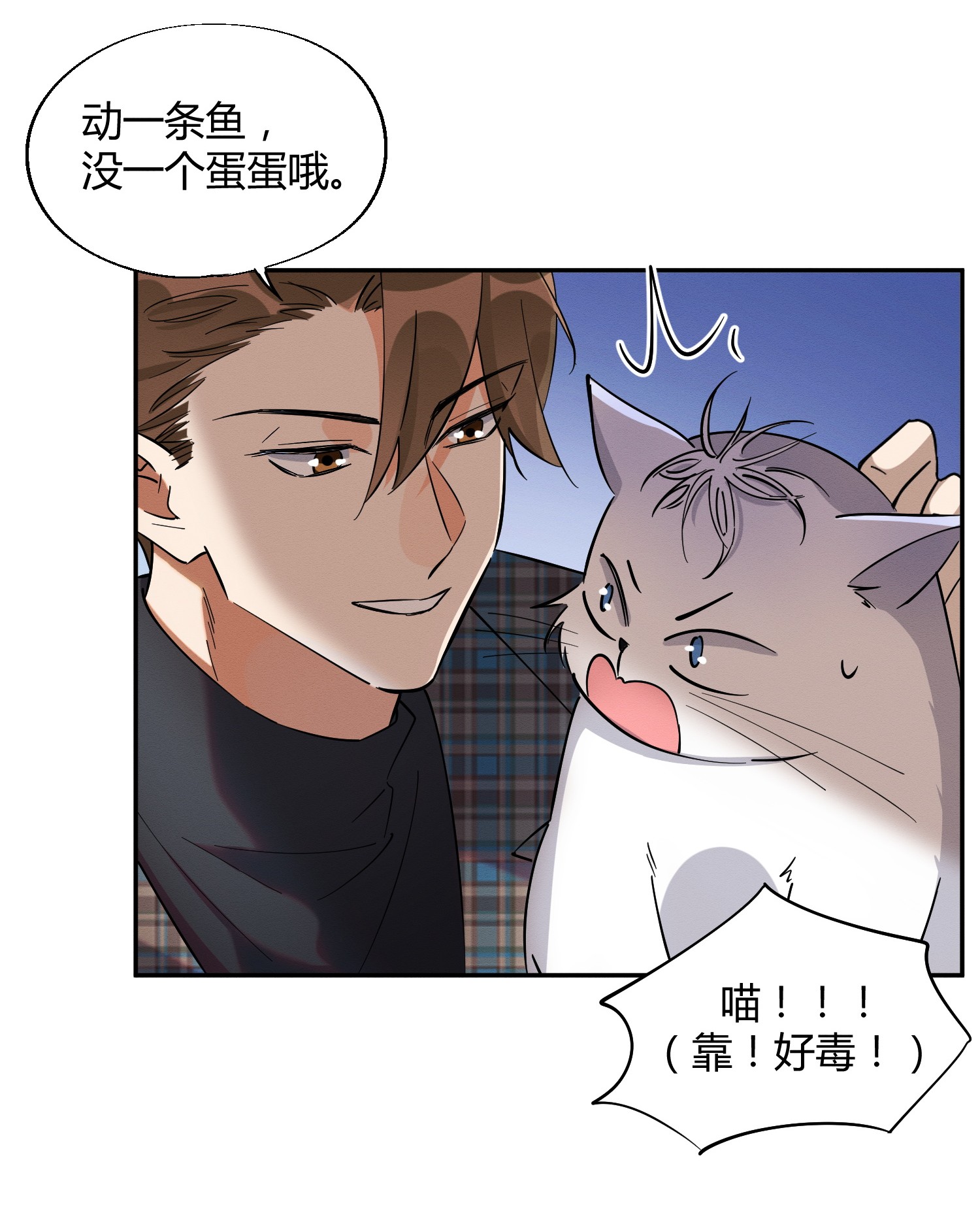 今天也要努力当只猫24 别冤枉他