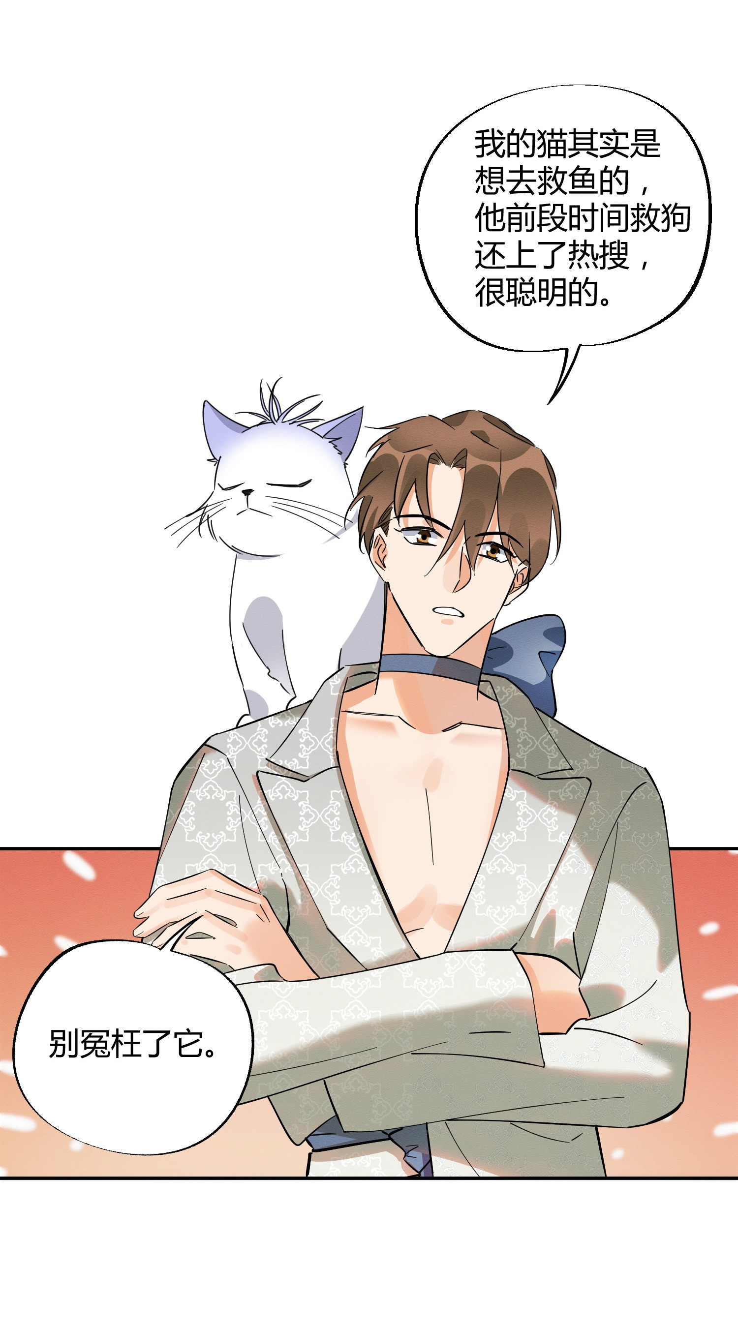 今天也要努力当只猫24 别冤枉他