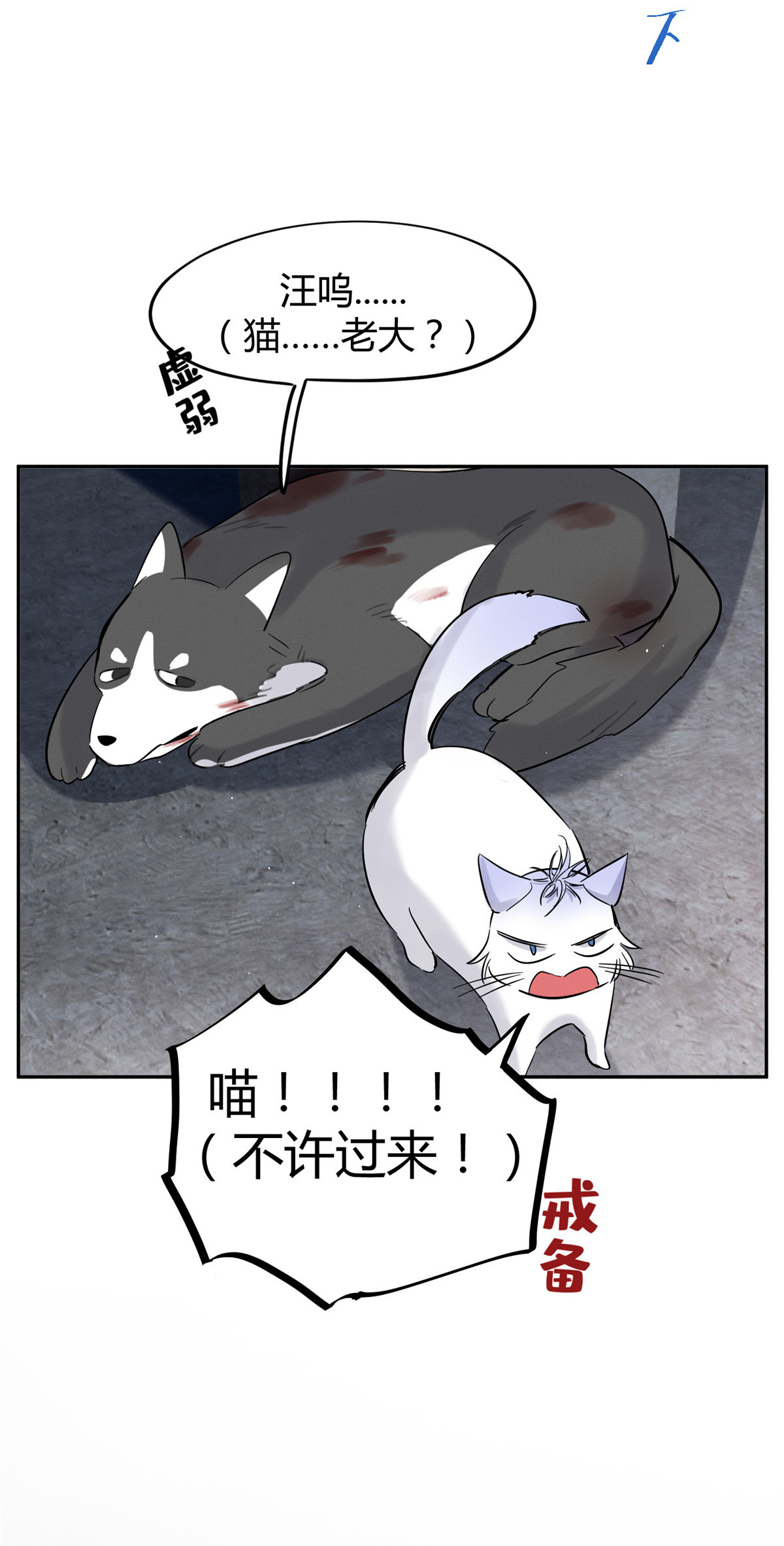 今天也要努力当只猫47 坏女人！