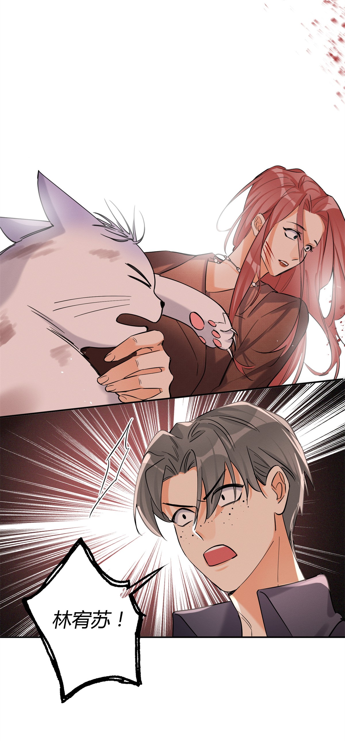 今天也要努力当只猫48 48英雄救猫狗