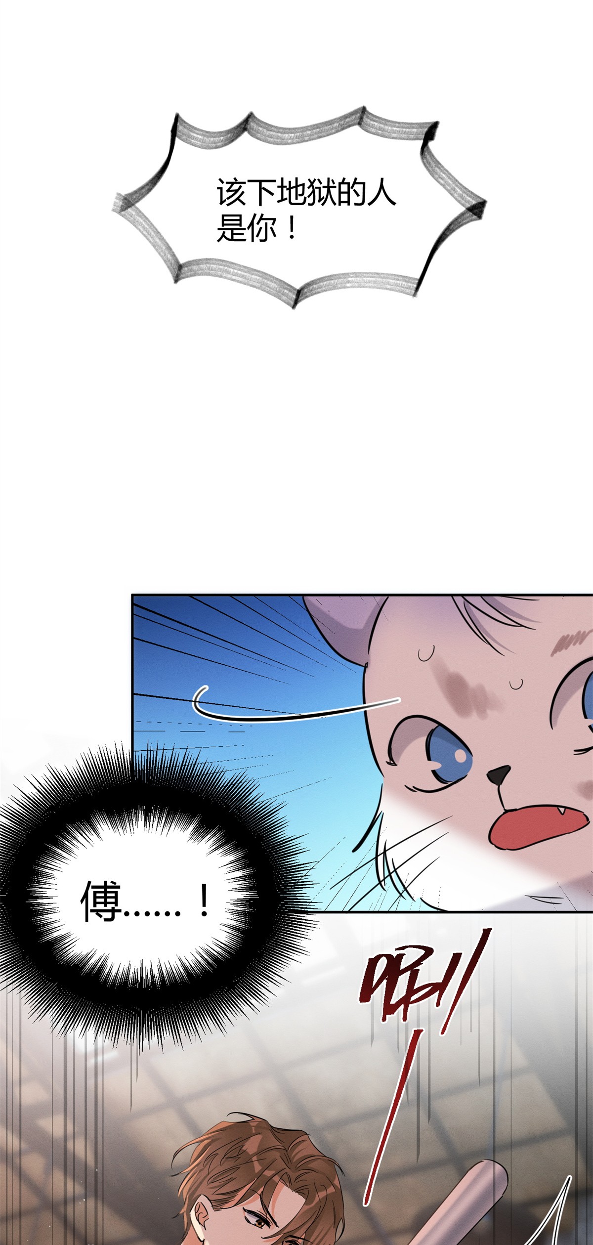 今天也要努力当只猫48 48英雄救猫狗