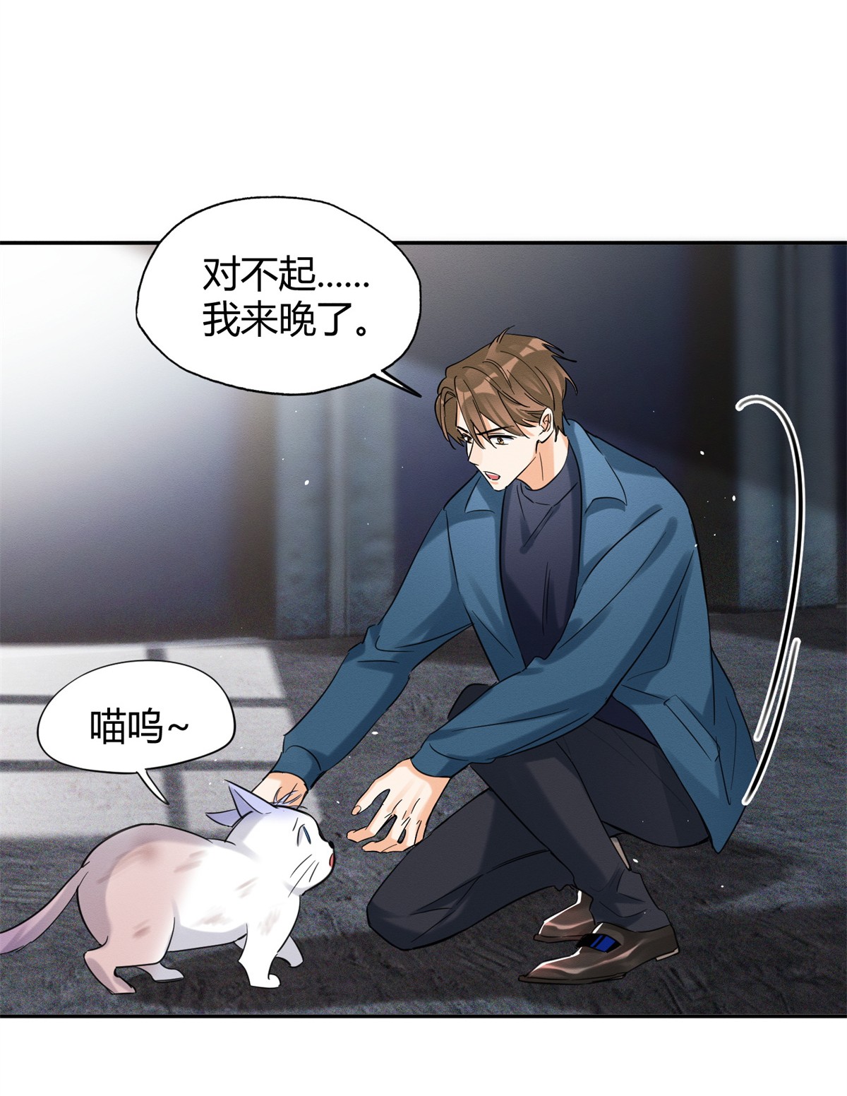 今天也要努力当只猫48 48英雄救猫狗