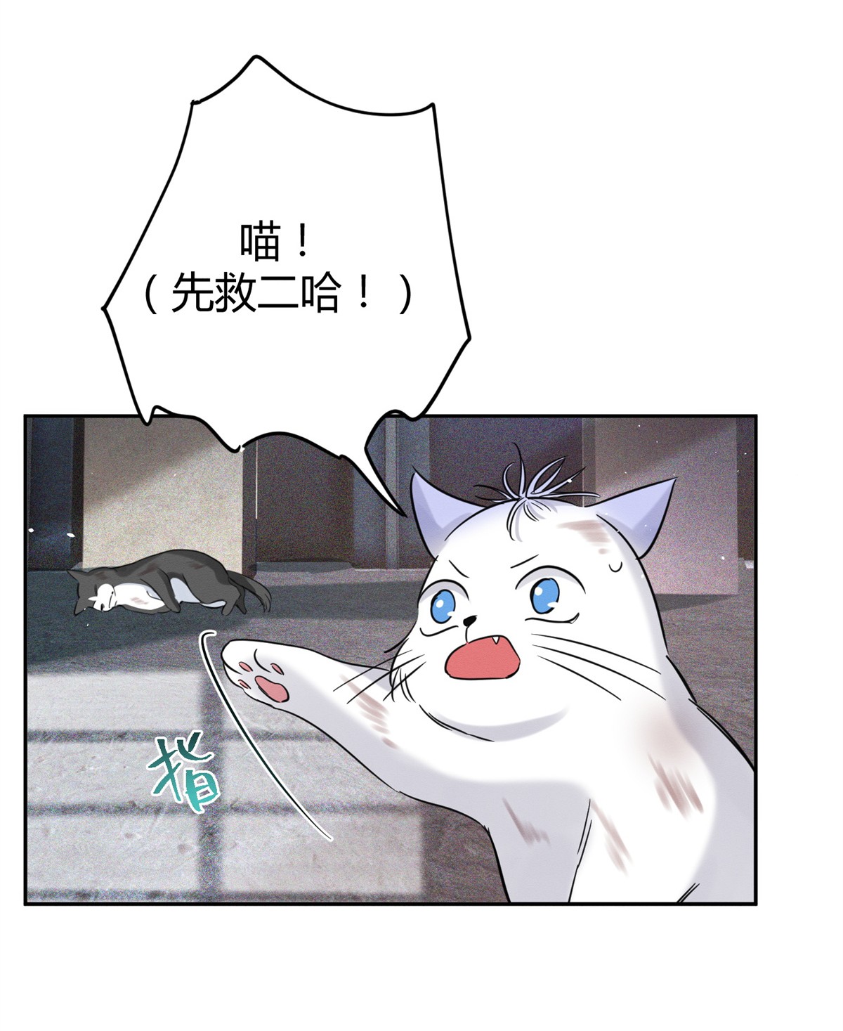 今天也要努力当只猫48 48英雄救猫狗