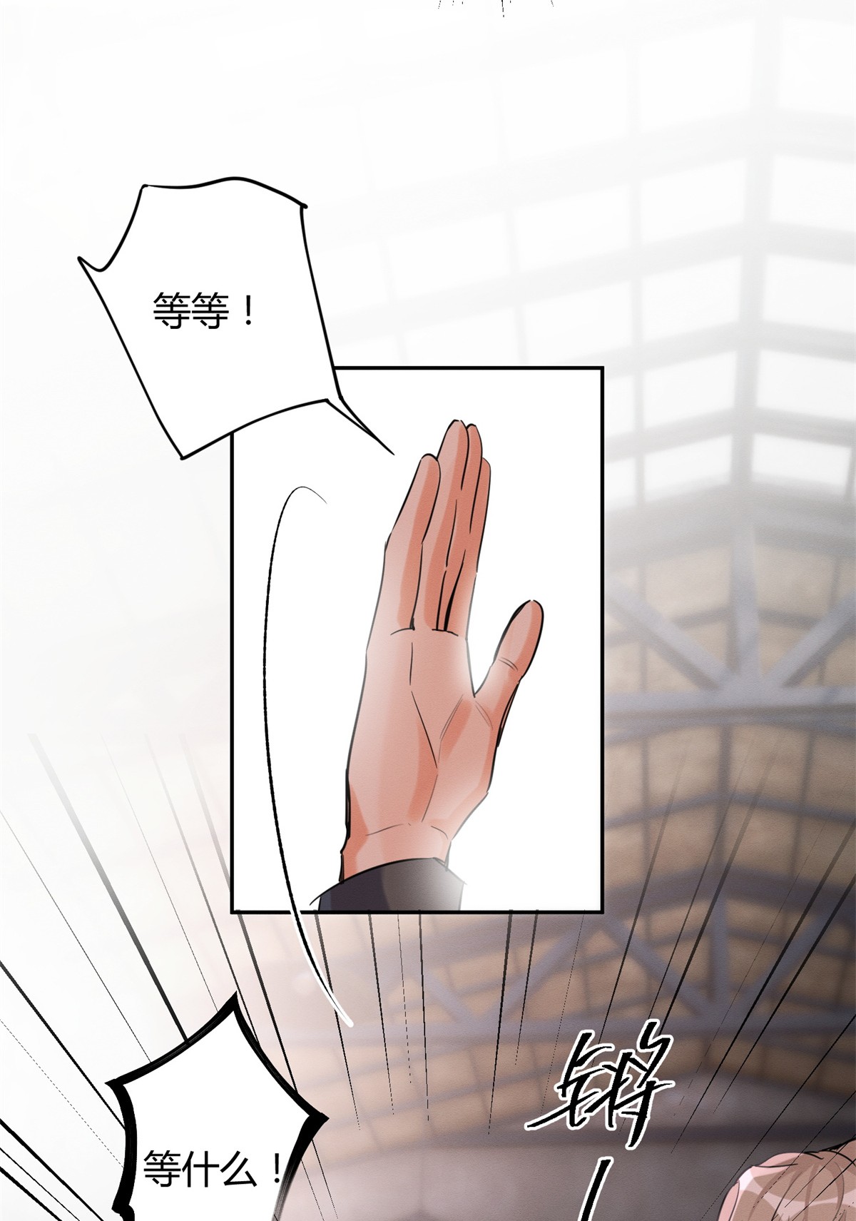 今天也要努力当只猫48 48英雄救猫狗