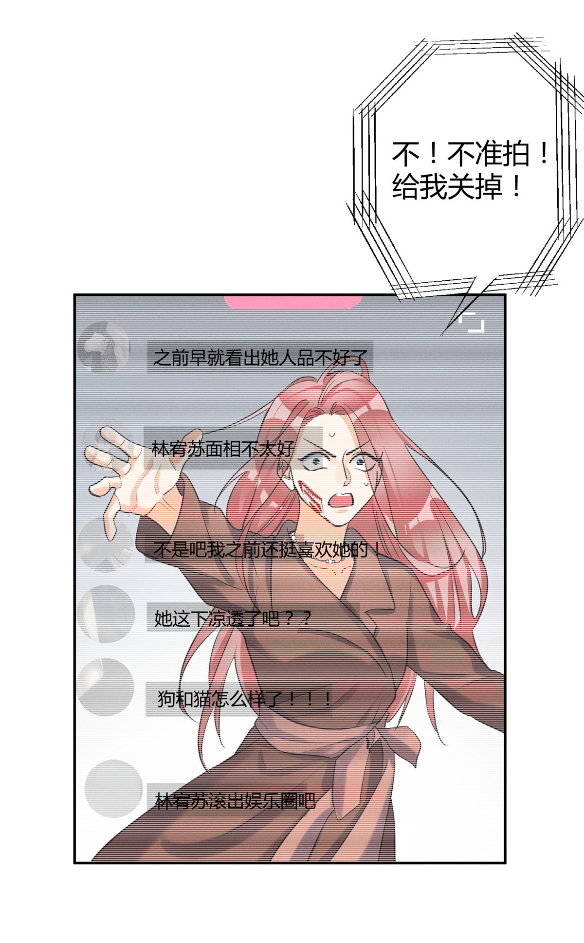 今天也要努力当只猫48 48英雄救猫狗