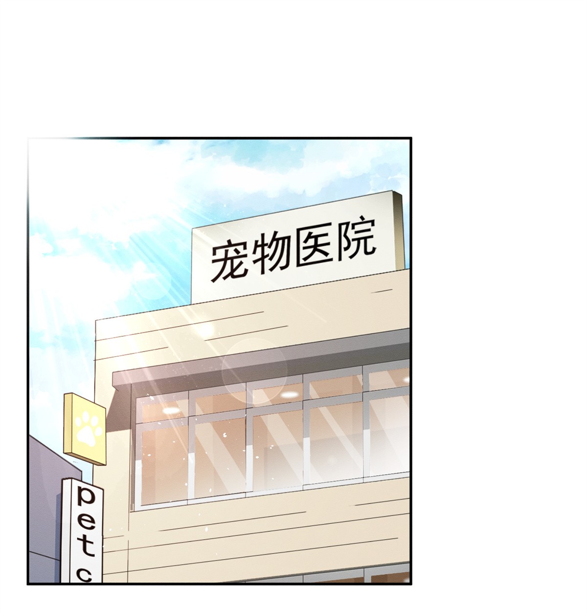 今天也要努力当只猫48 48英雄救猫狗