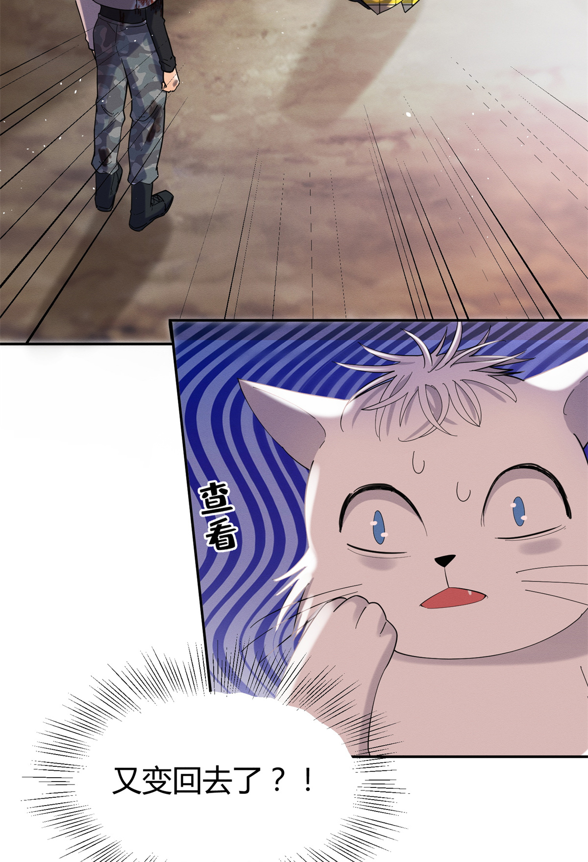 今天也要努力当只猫53 裴臻你变话来了？！