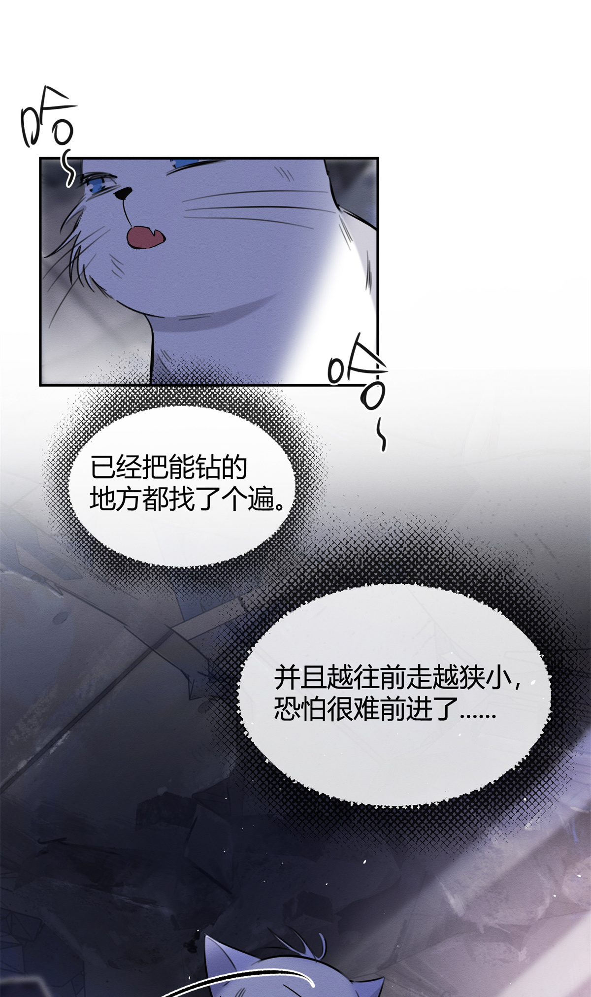 今天也要努力当只猫53 裴臻你变话来了？！