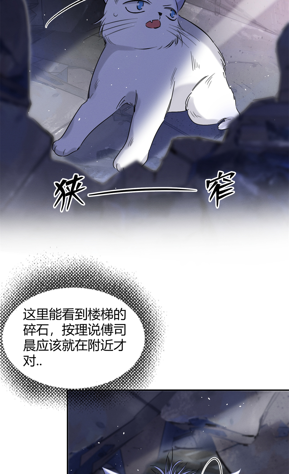 今天也要努力当只猫53 裴臻你变话来了？！